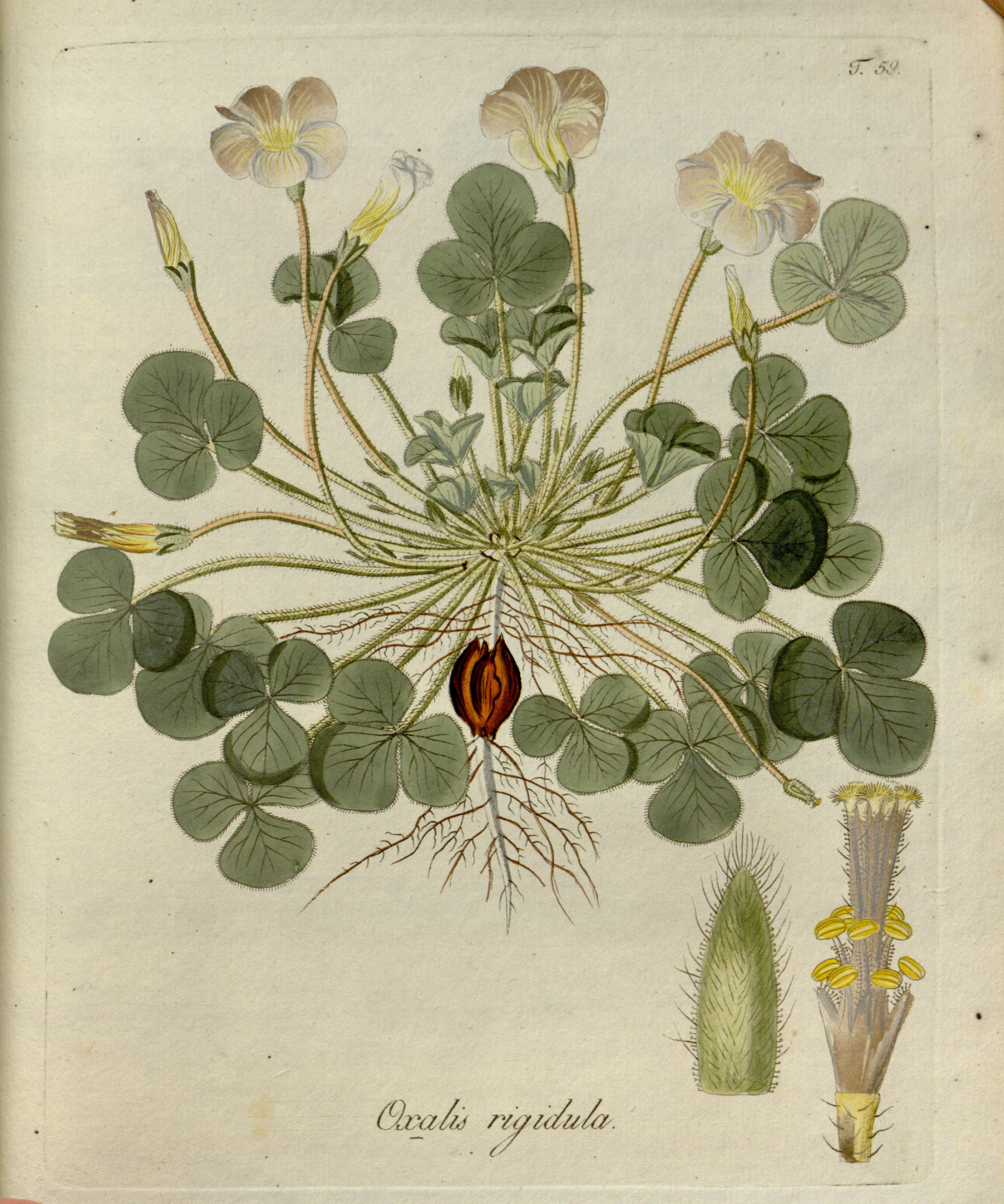 no full size  illustration available (3a)