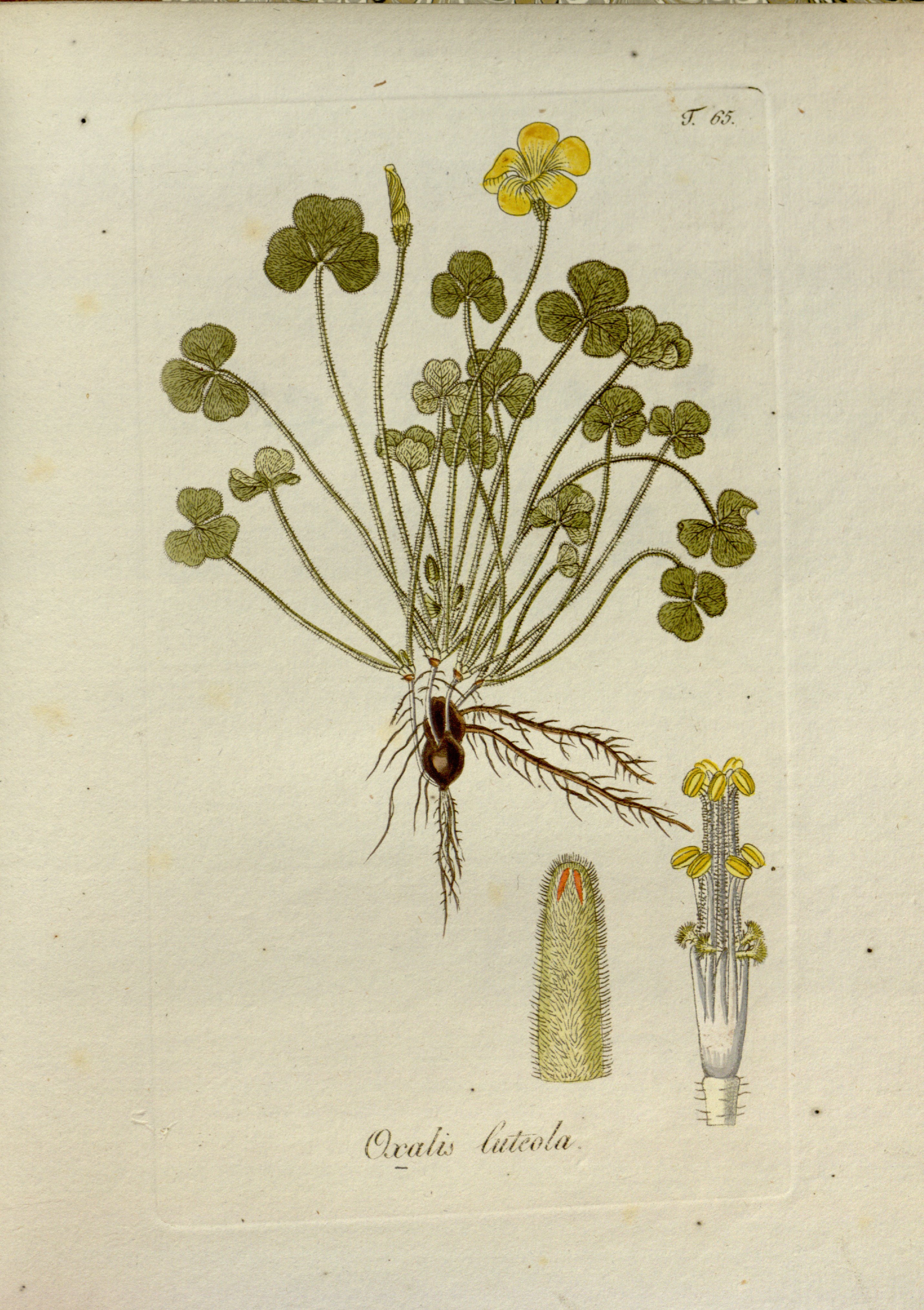 no full size  illustration available (3a)