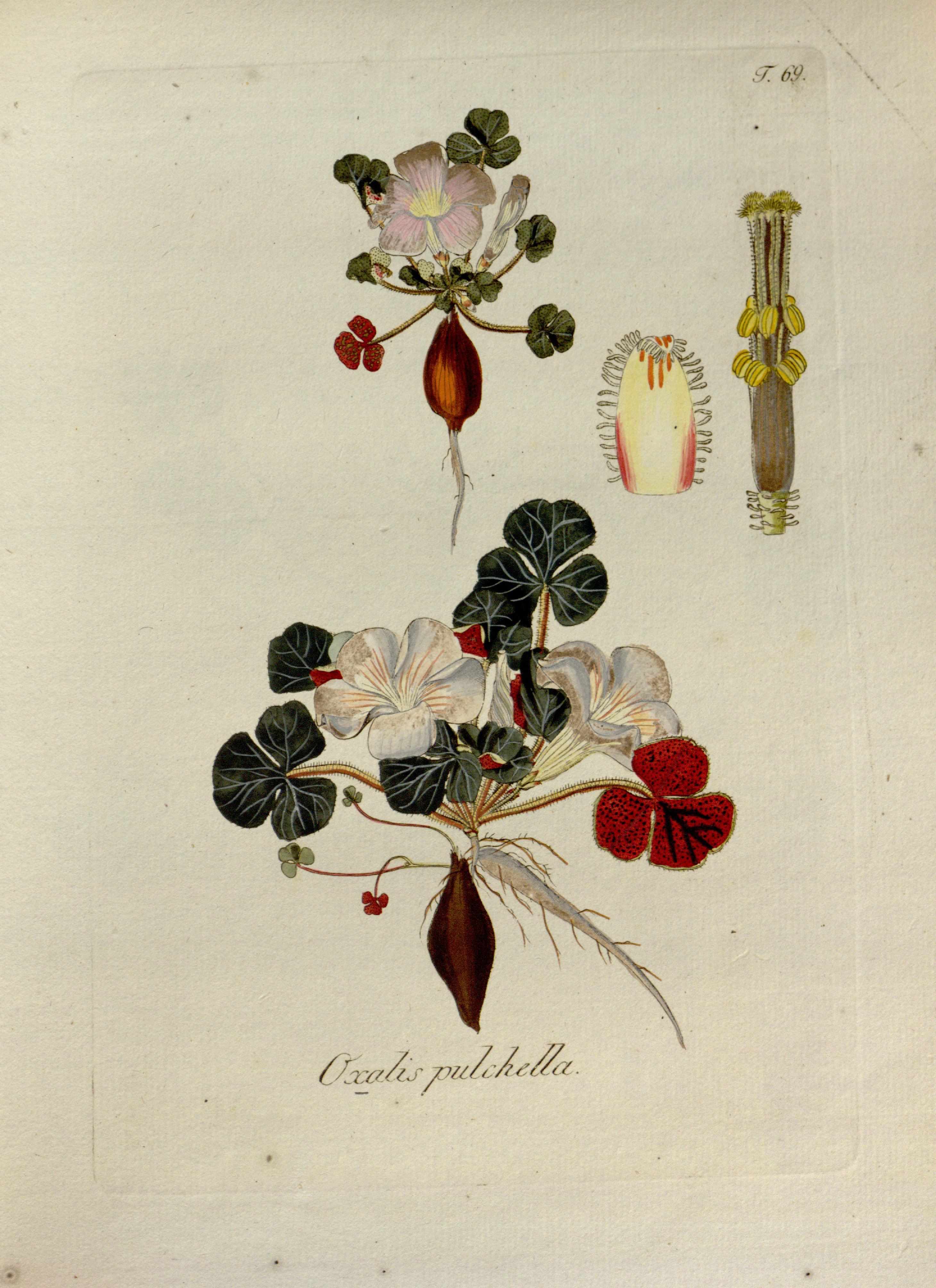 no full size  illustration available (3a)