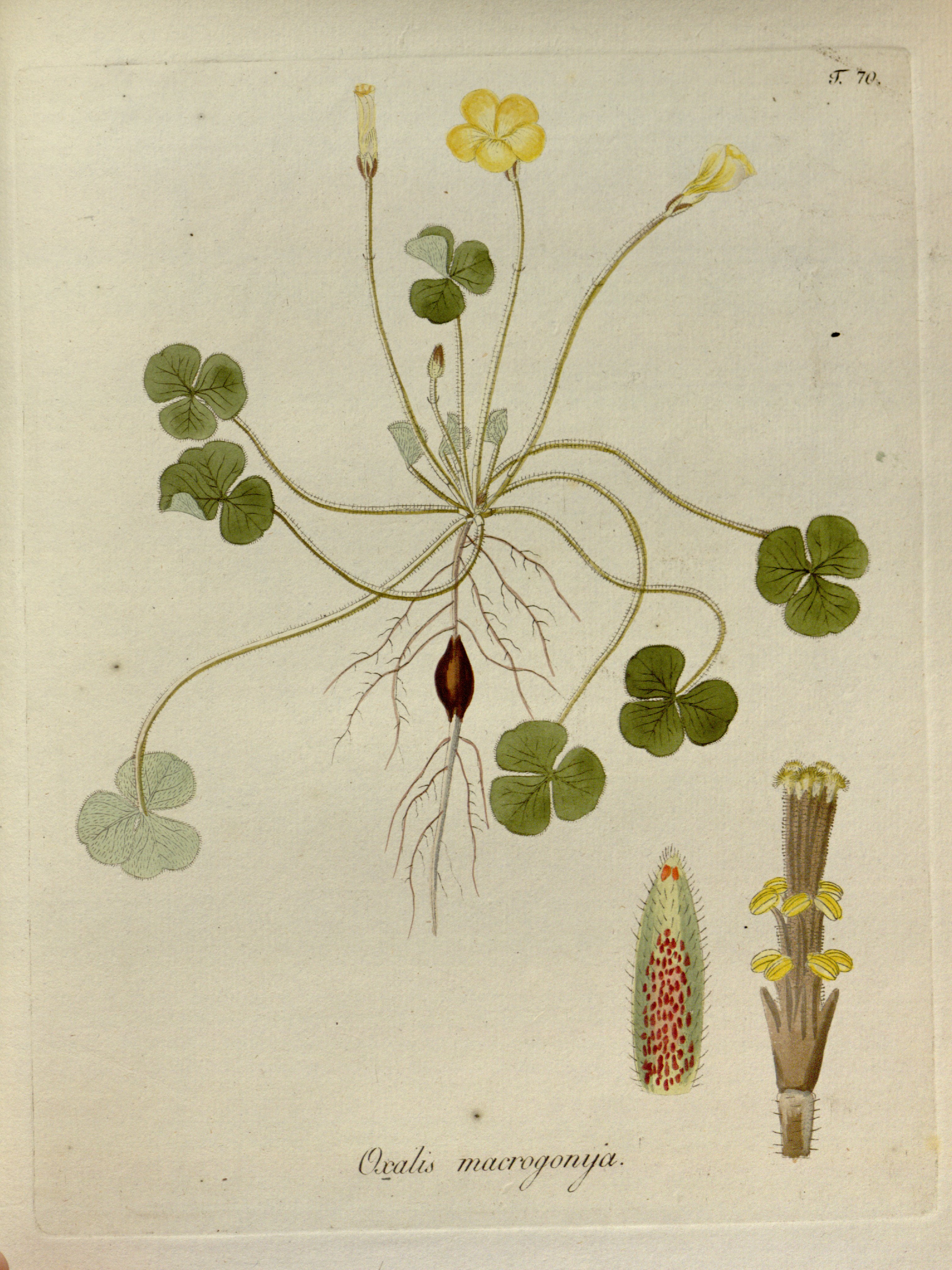 no full size  illustration available (3a)