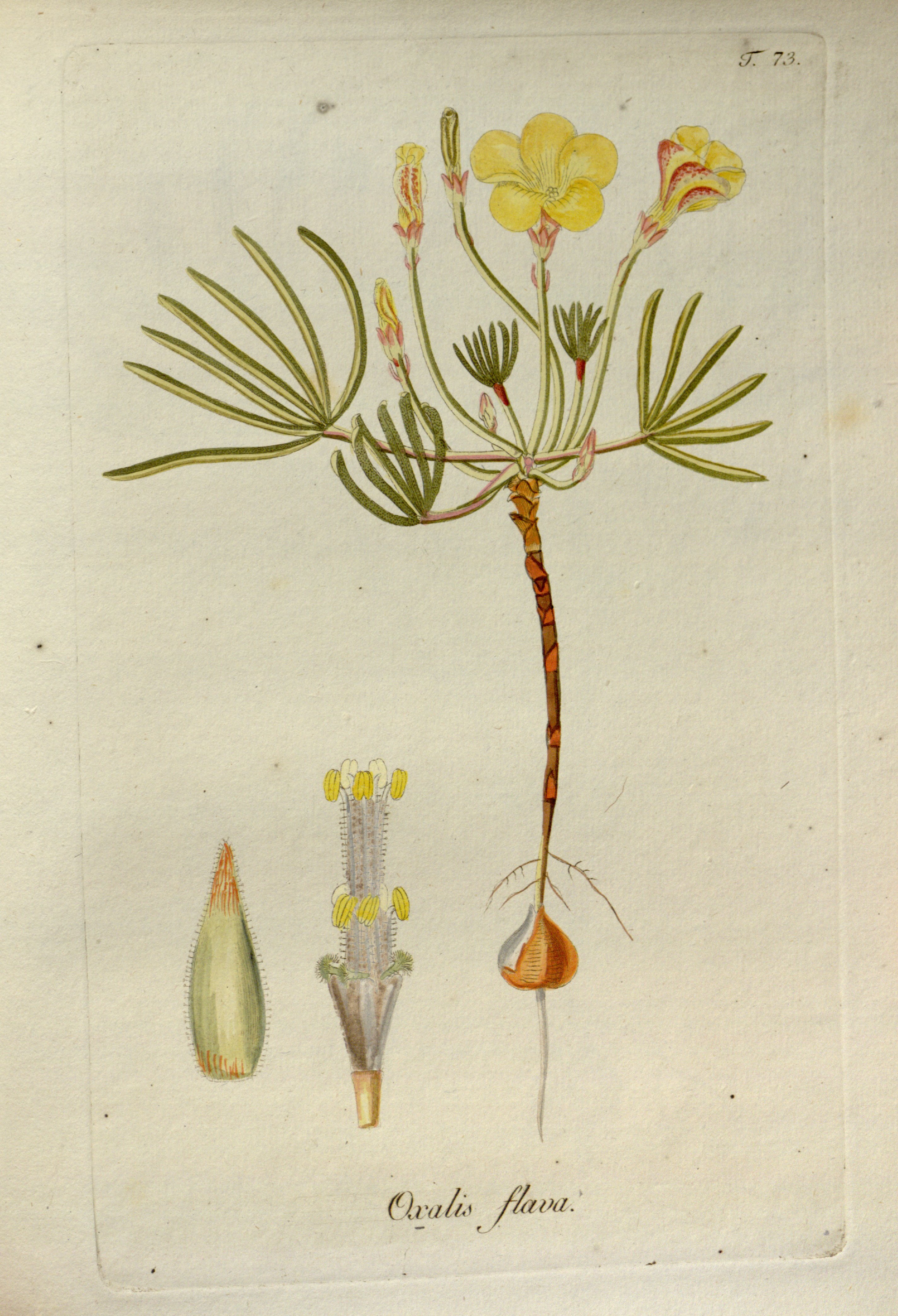 no full size  illustration available (3a)