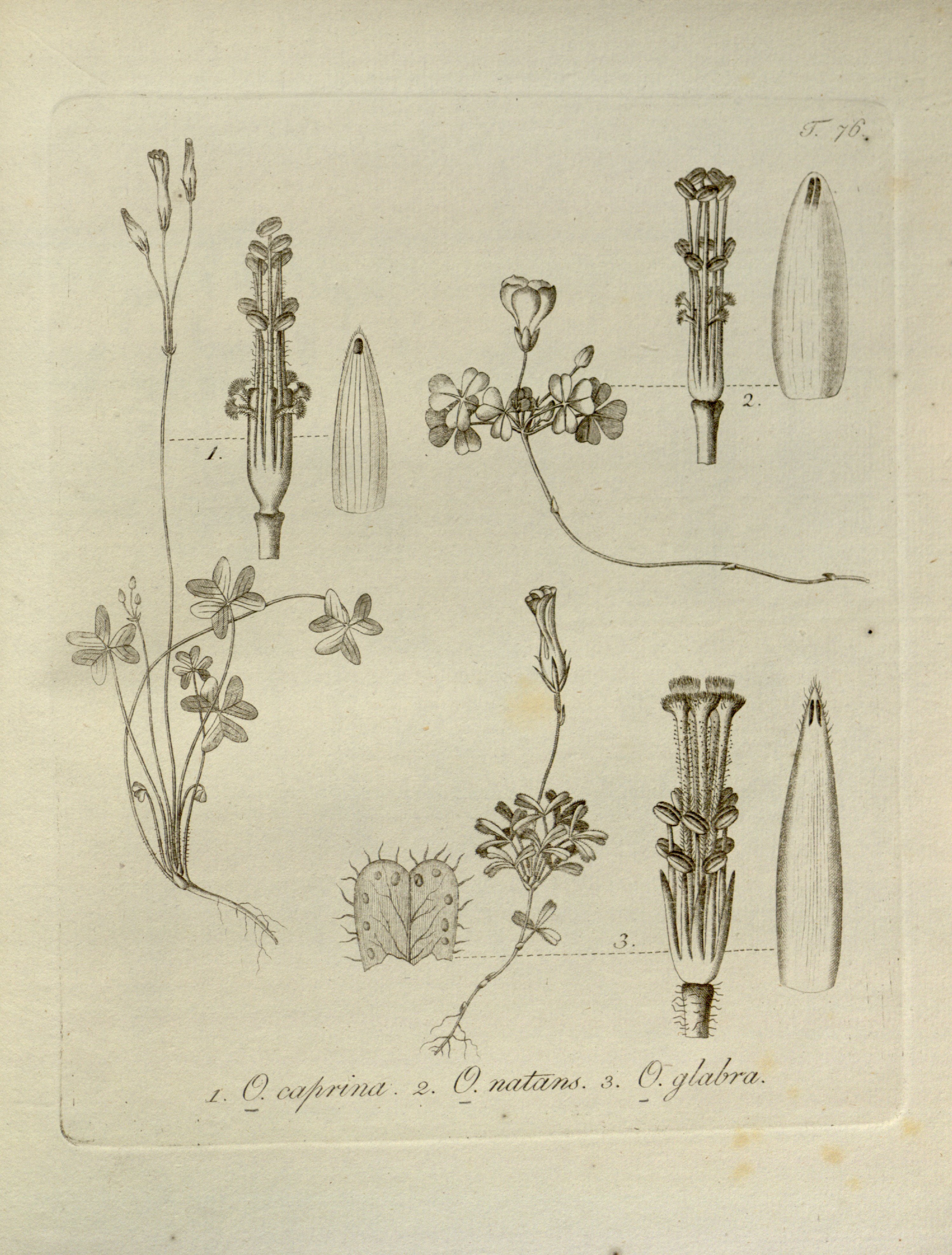 no full size  illustration available (3a)