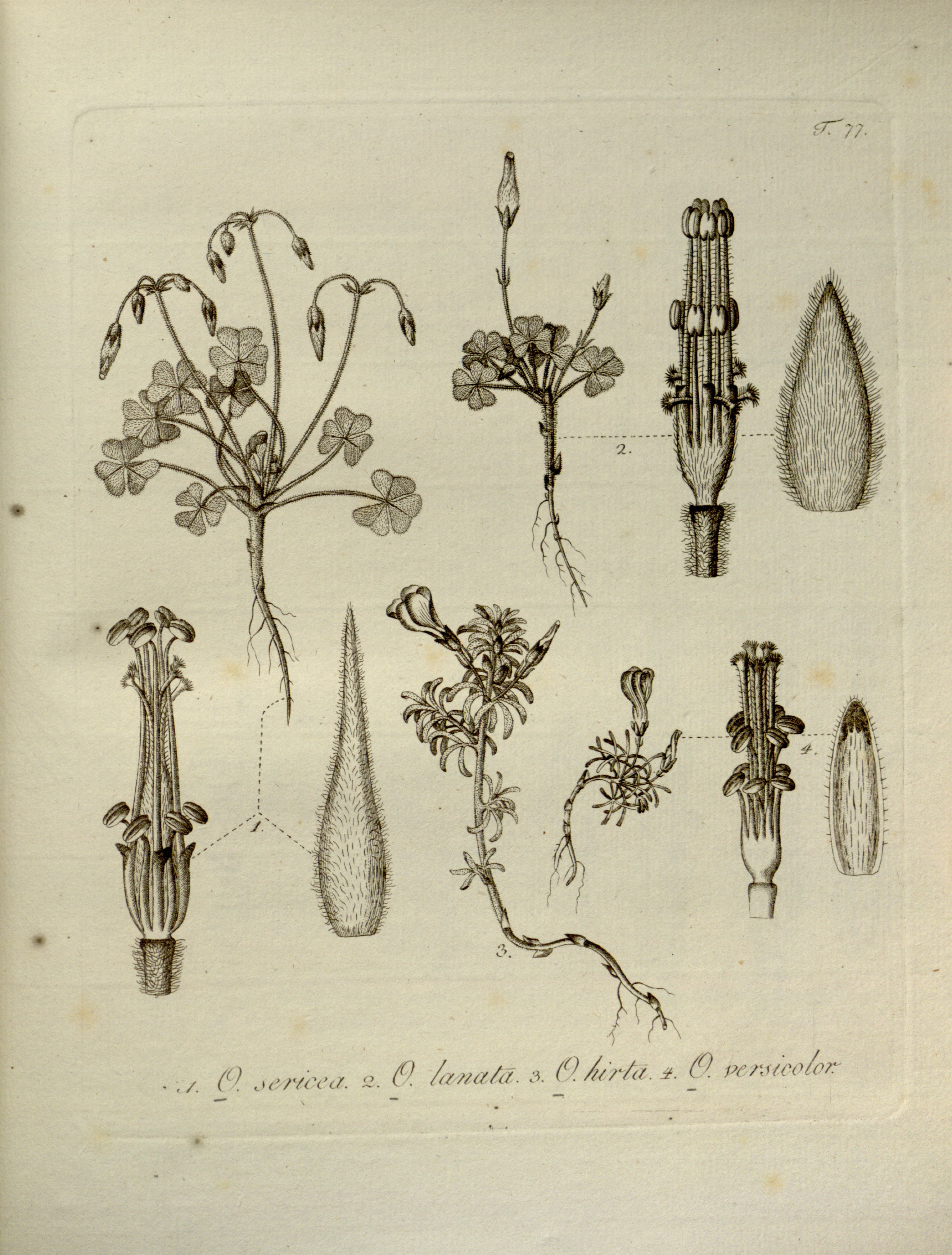 no full size  illustration available (3a)