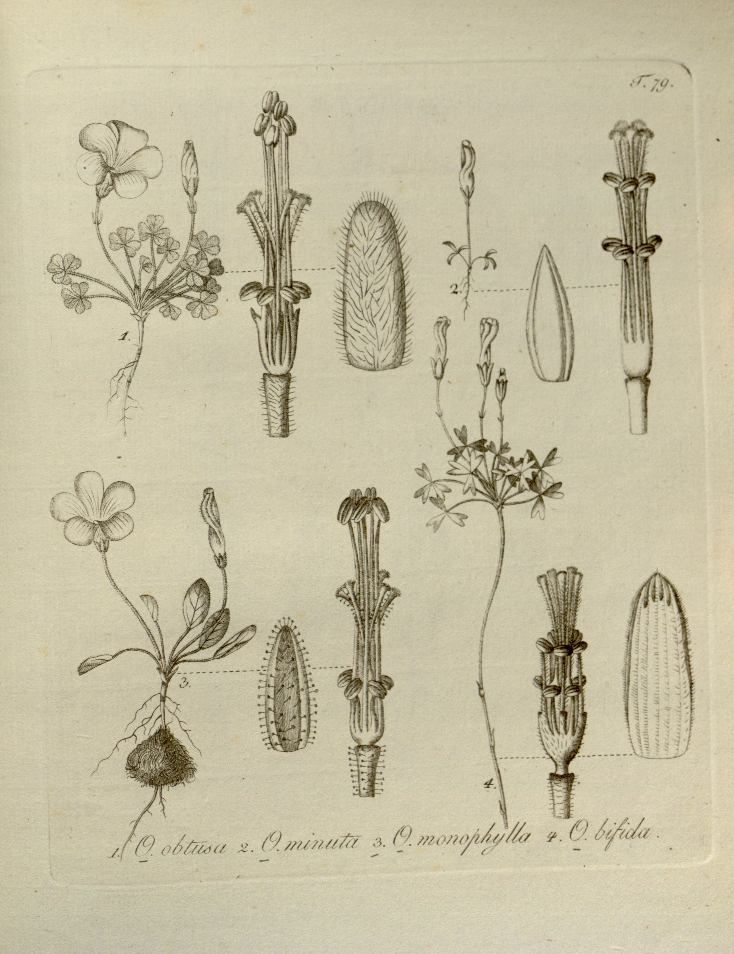 no full size  illustration available (3a)