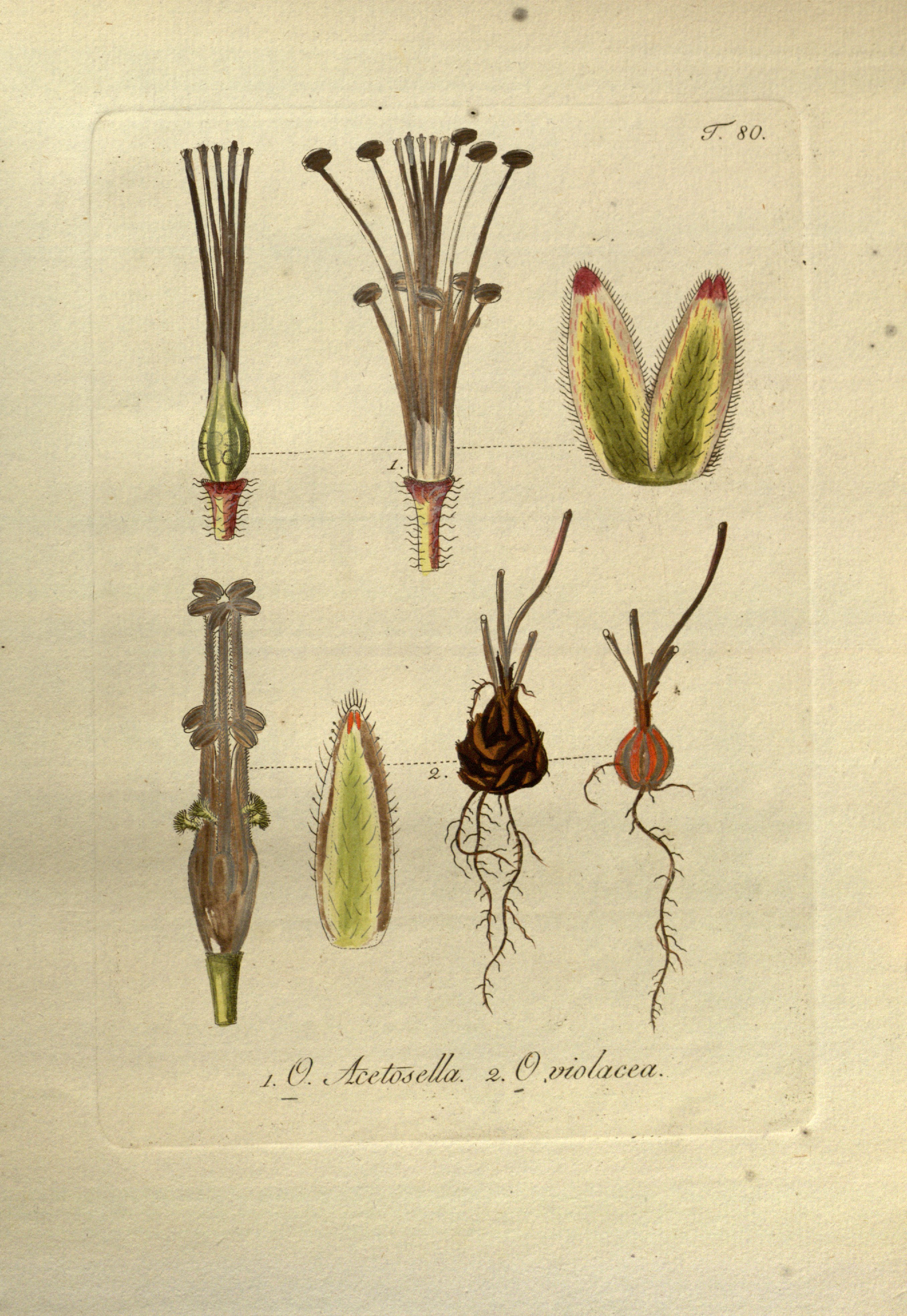 no full size  illustration available (3a)