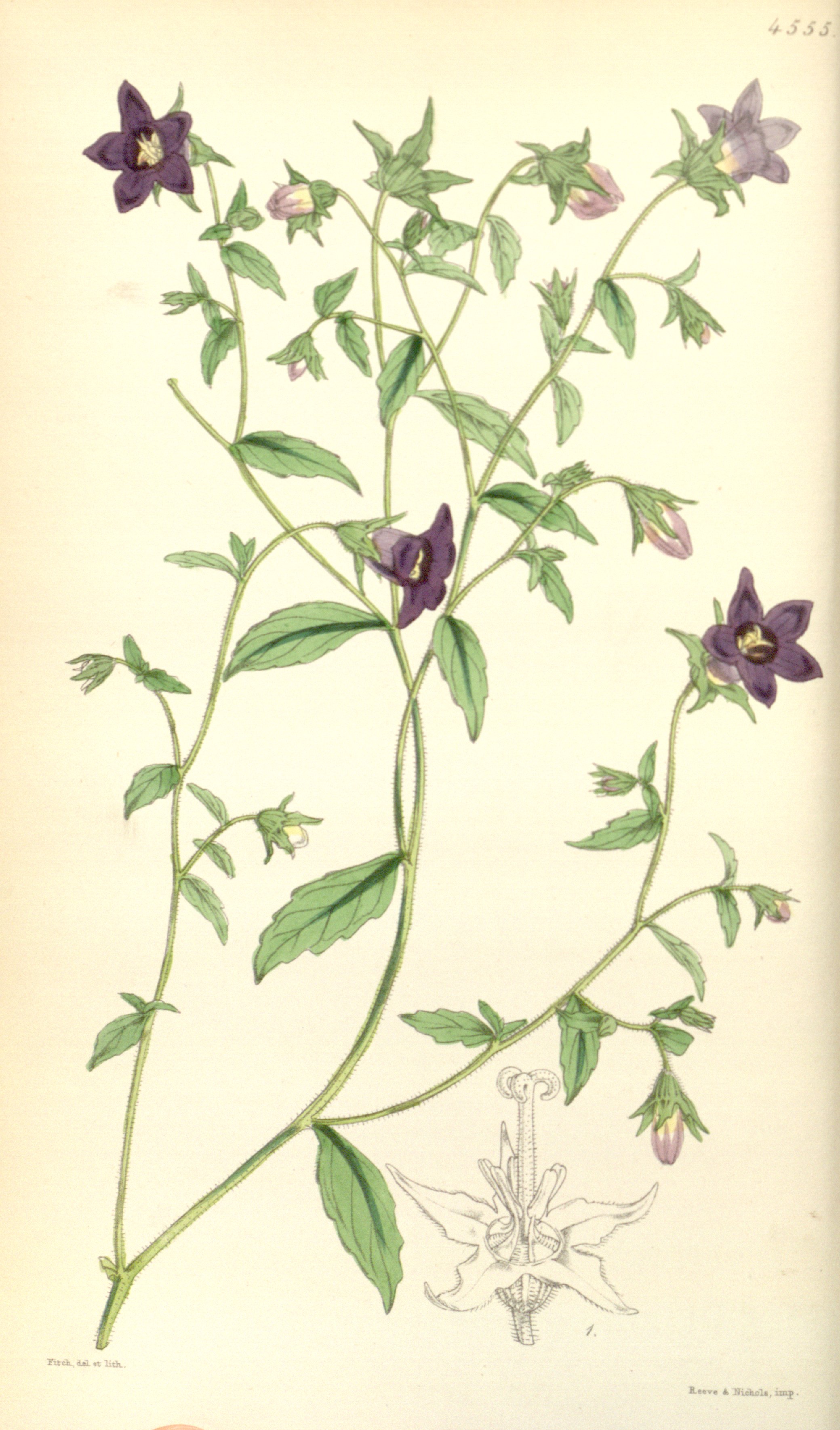 no full size  illustration available (3a)