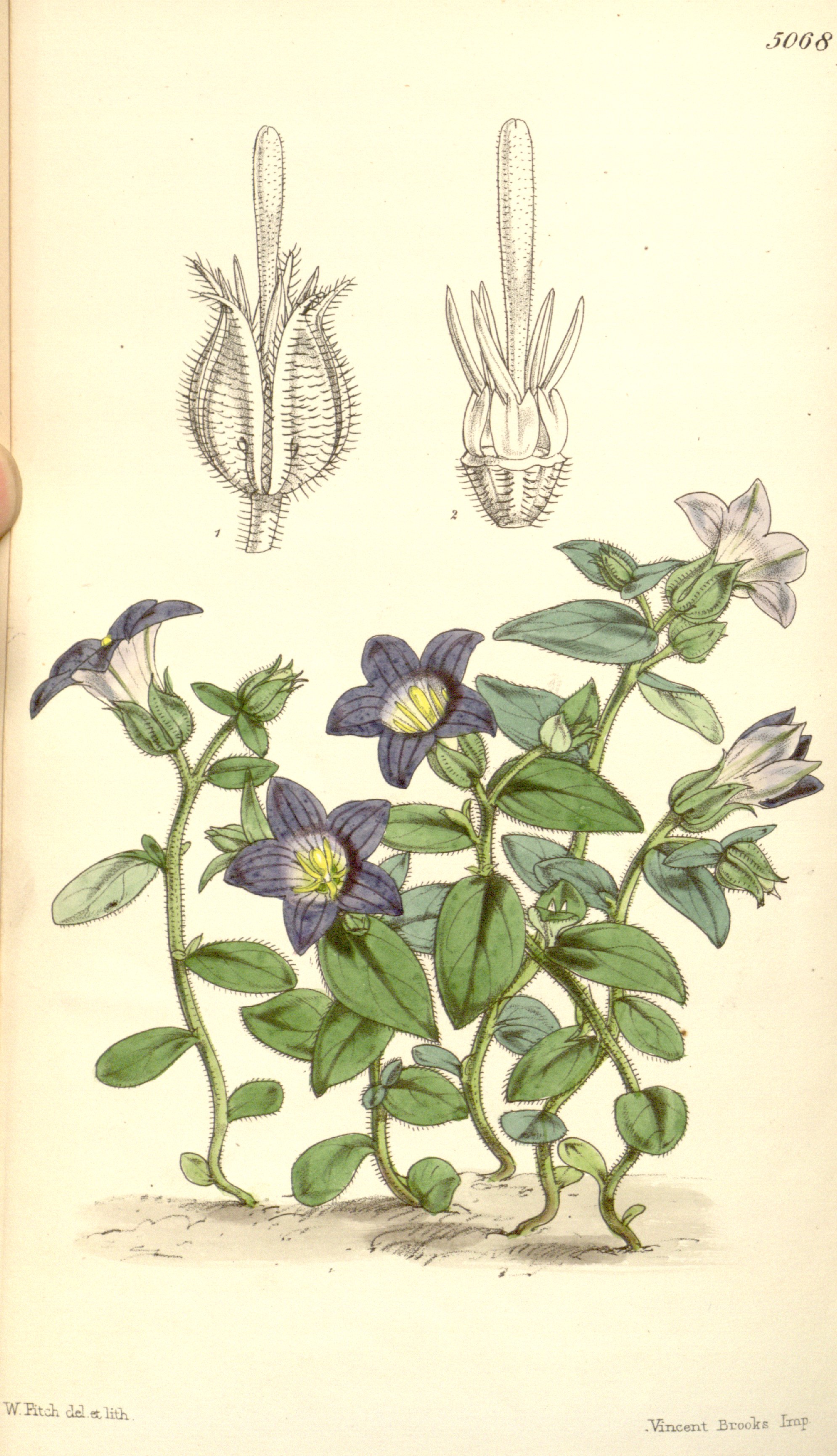 no full size  illustration available (3a)