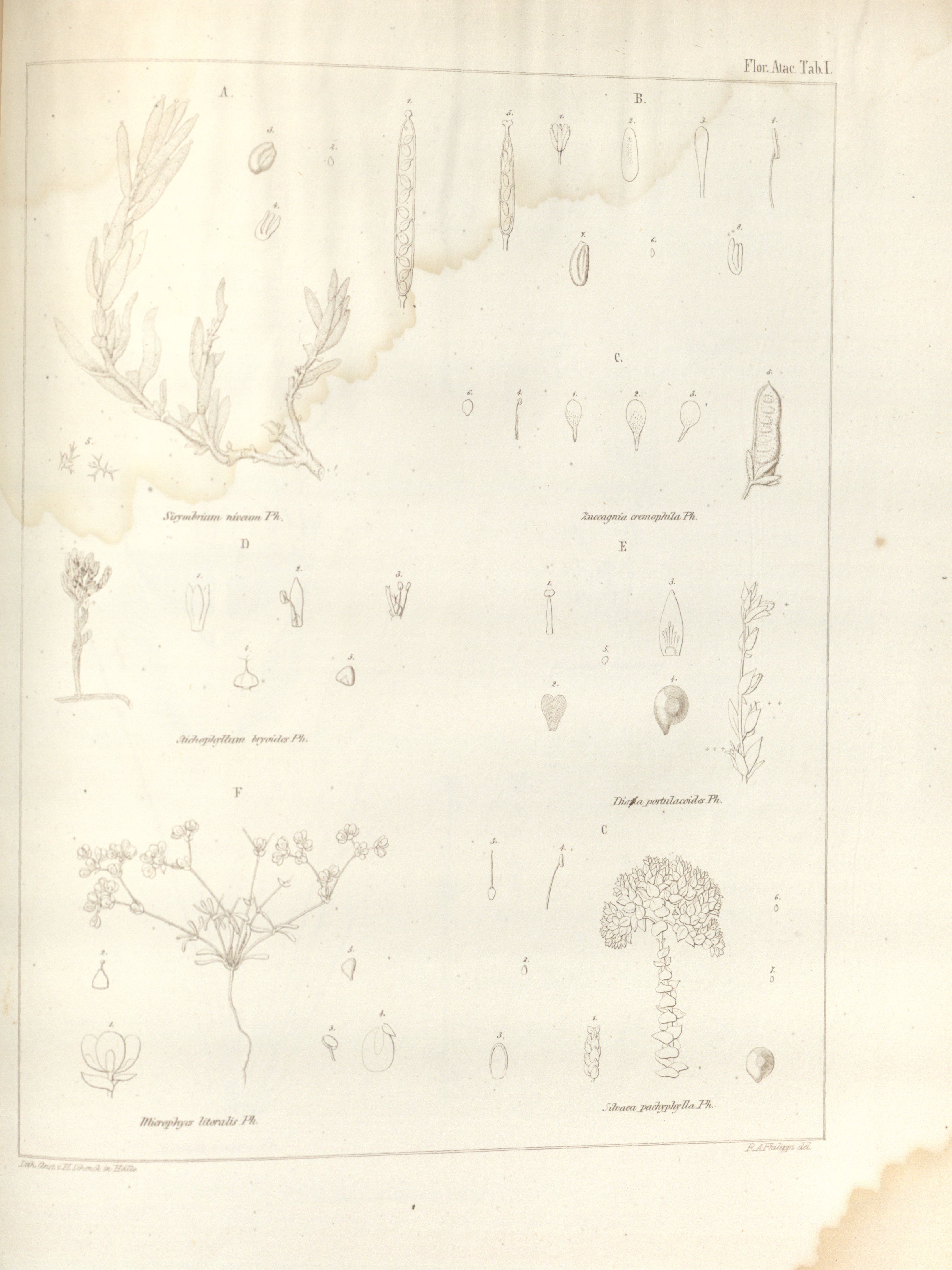 no full size  illustration available (3a)