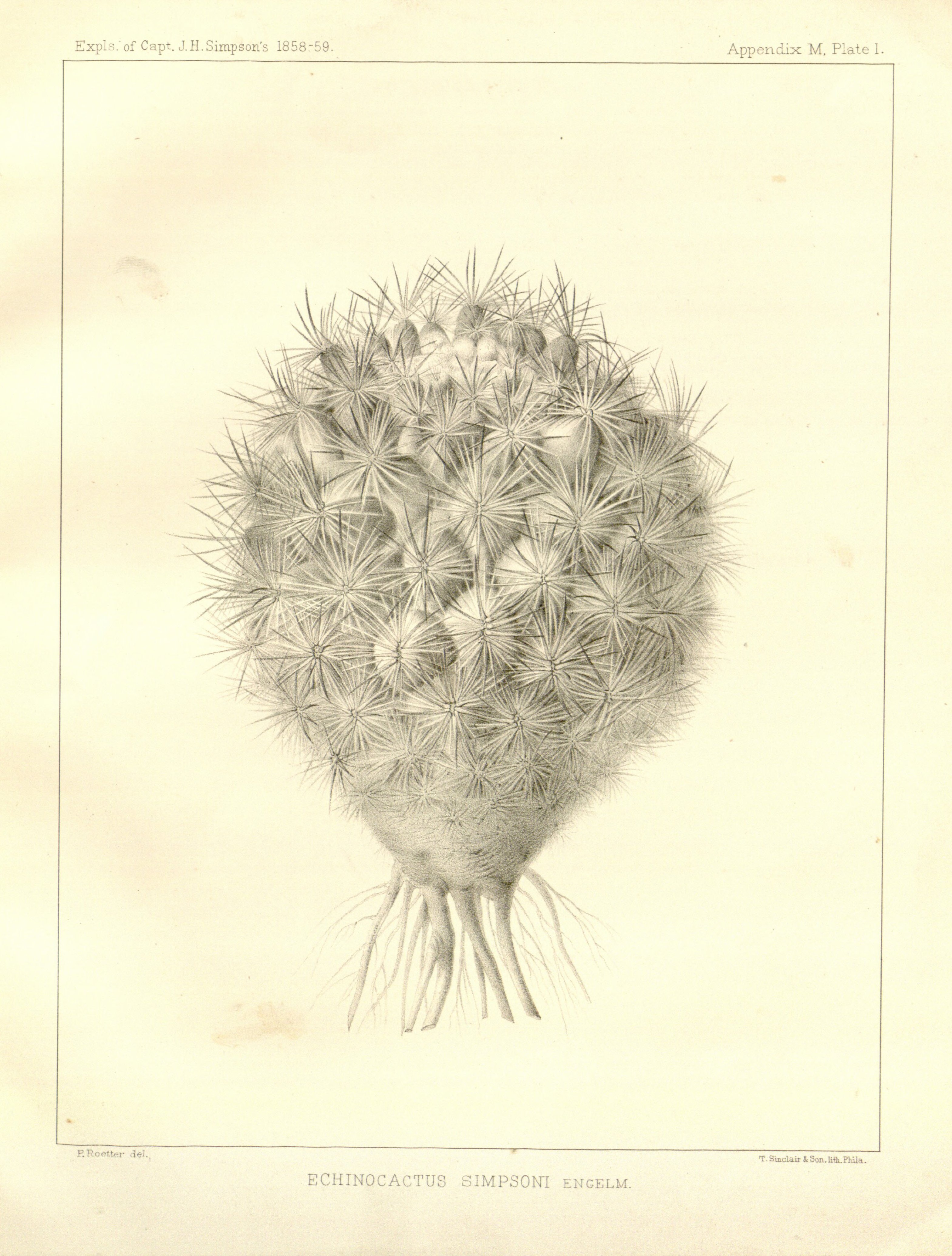 no full size  illustration available (3a)