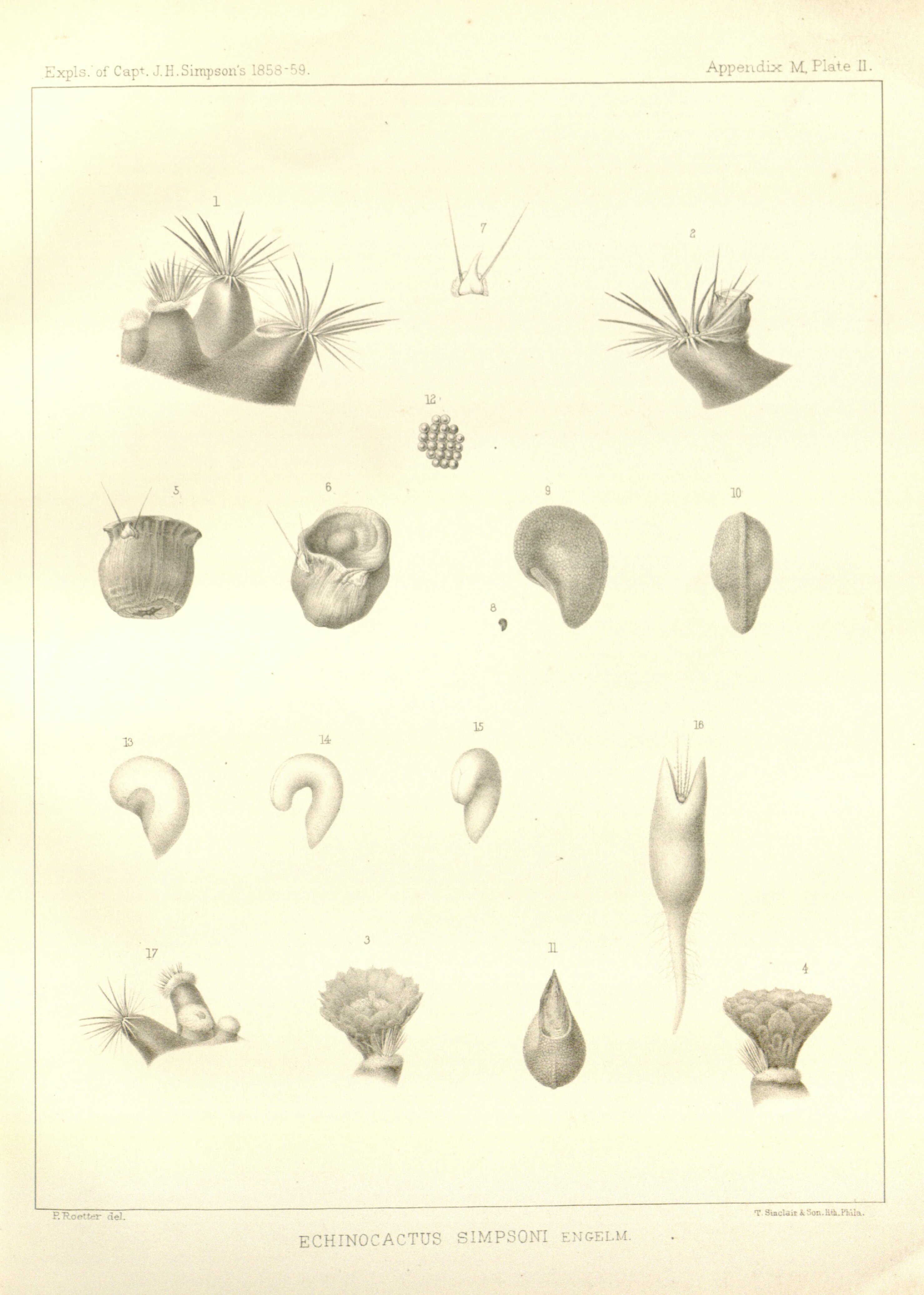 no full size  illustration available (3a)