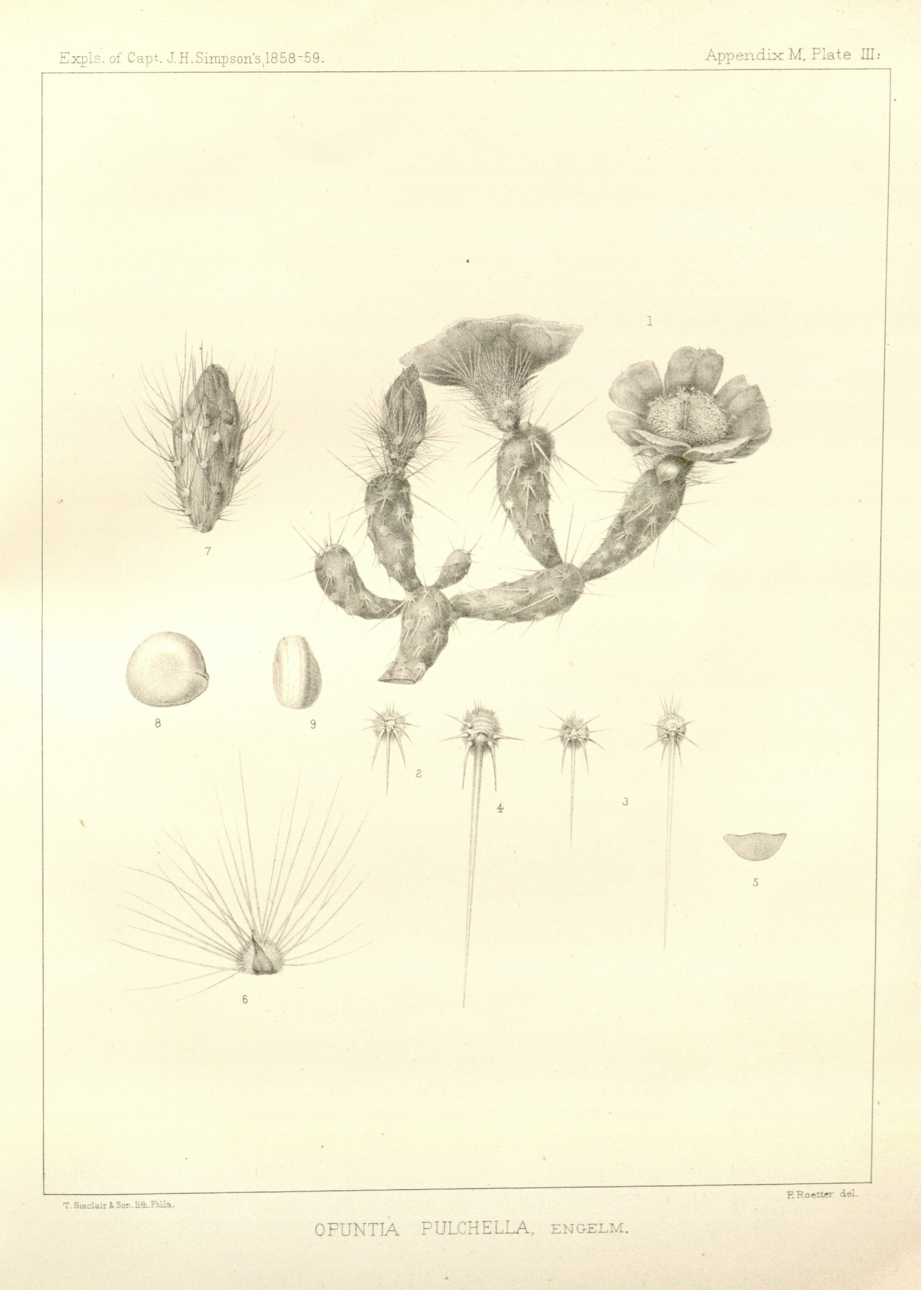 no full size  illustration available (3a)