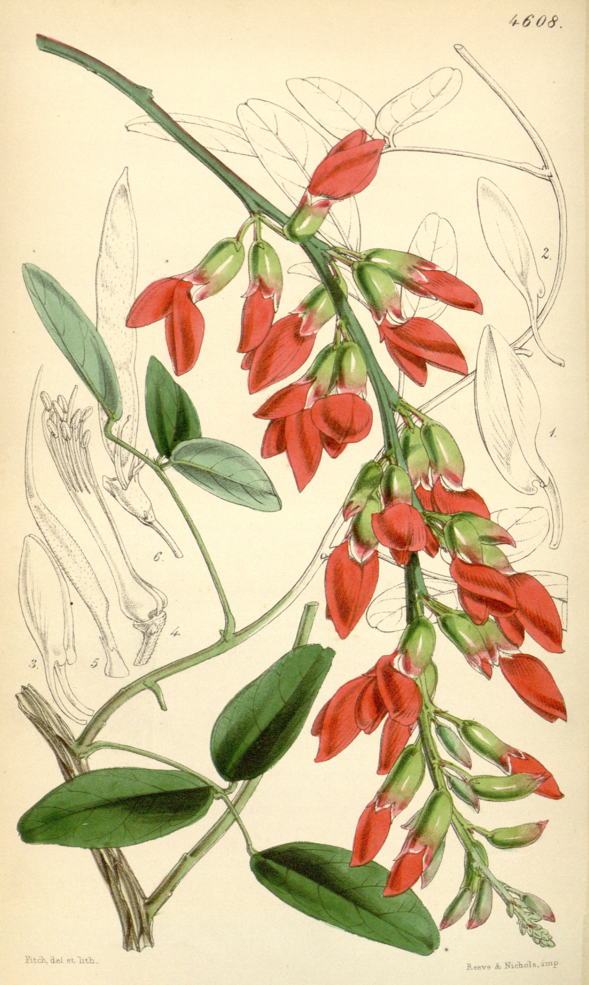 no full size  illustration available (3a)