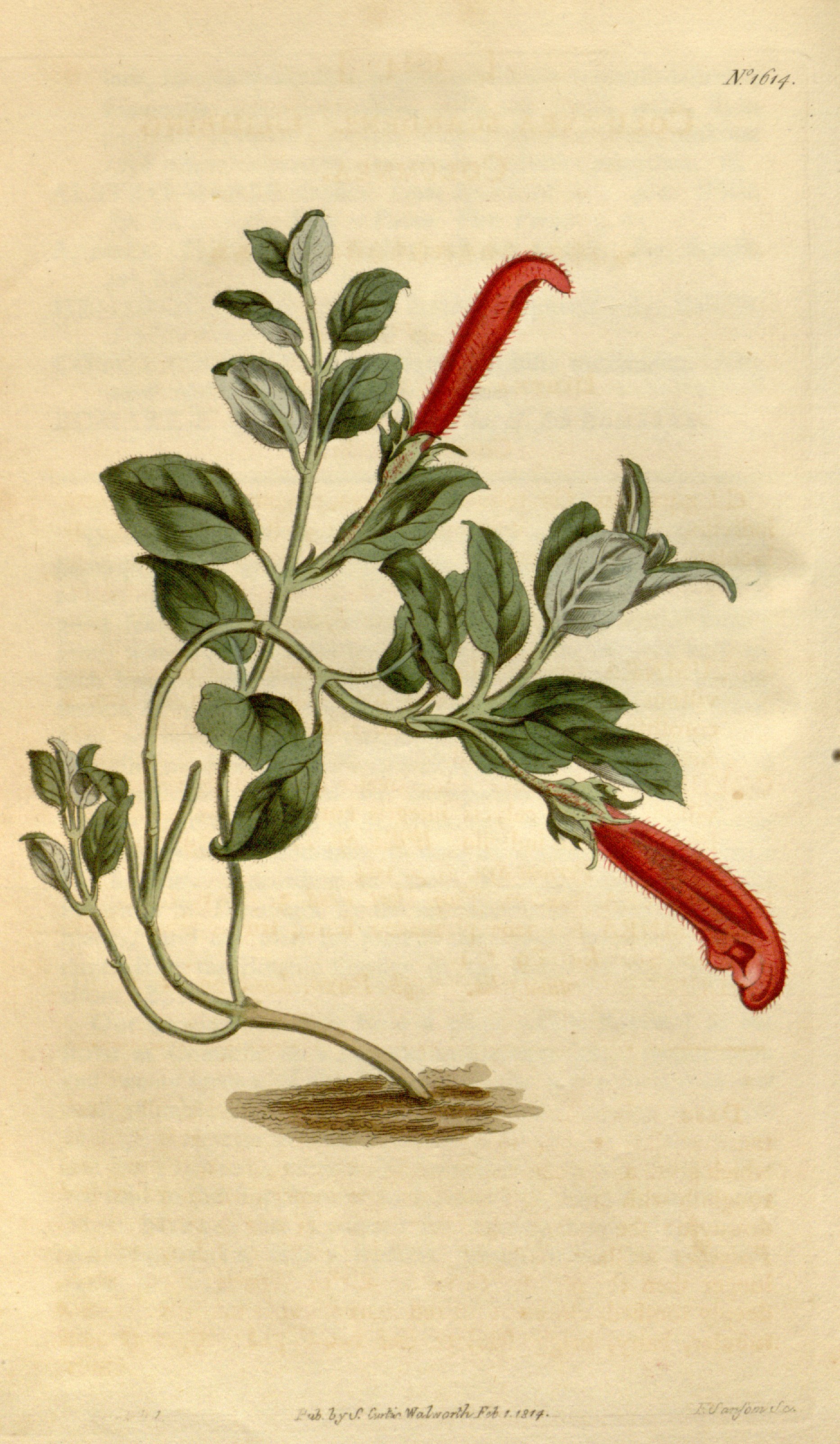 no full size  illustration available (3a)