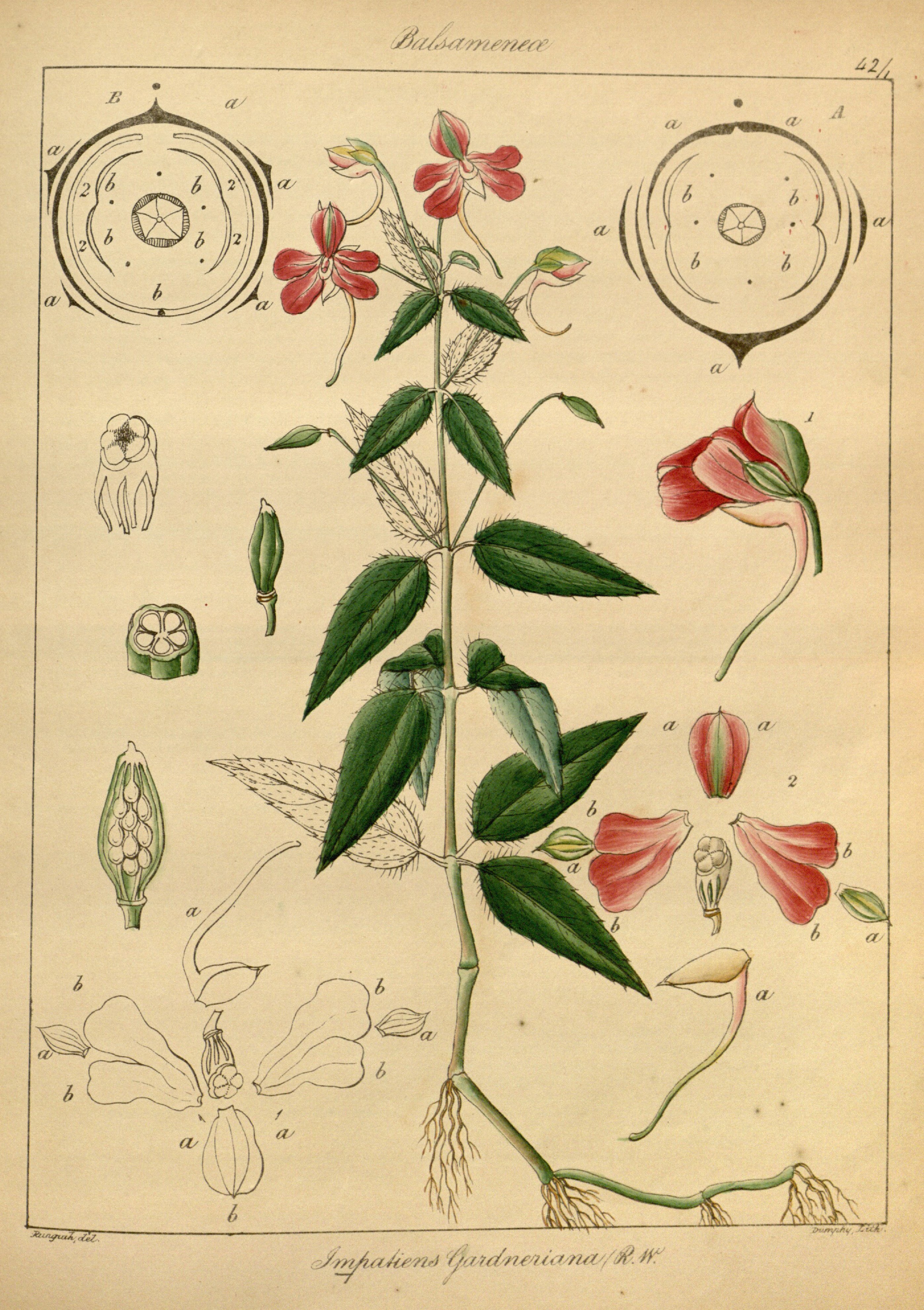 no full size  illustration available (3a)