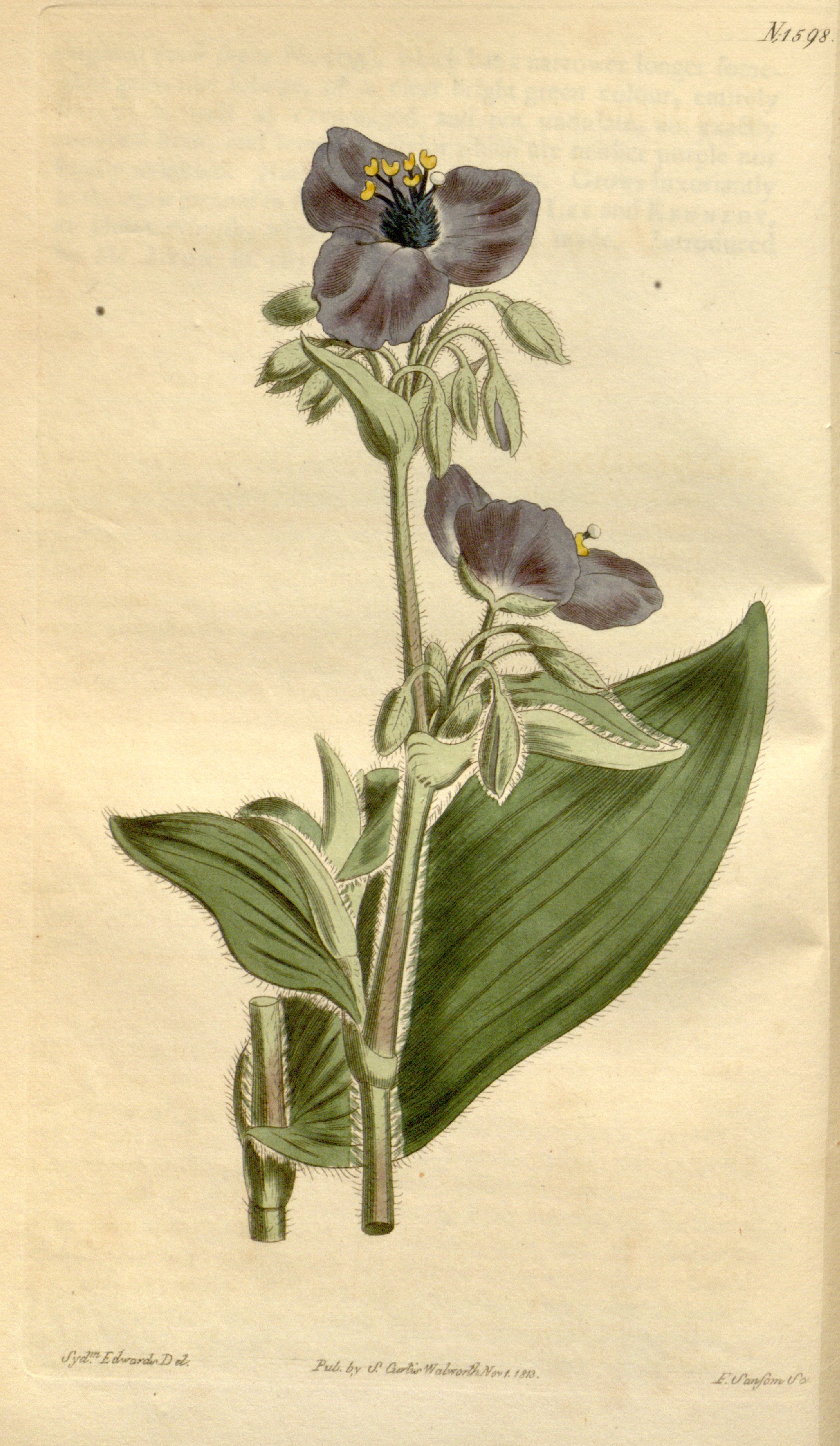 no full size  illustration available (3a)