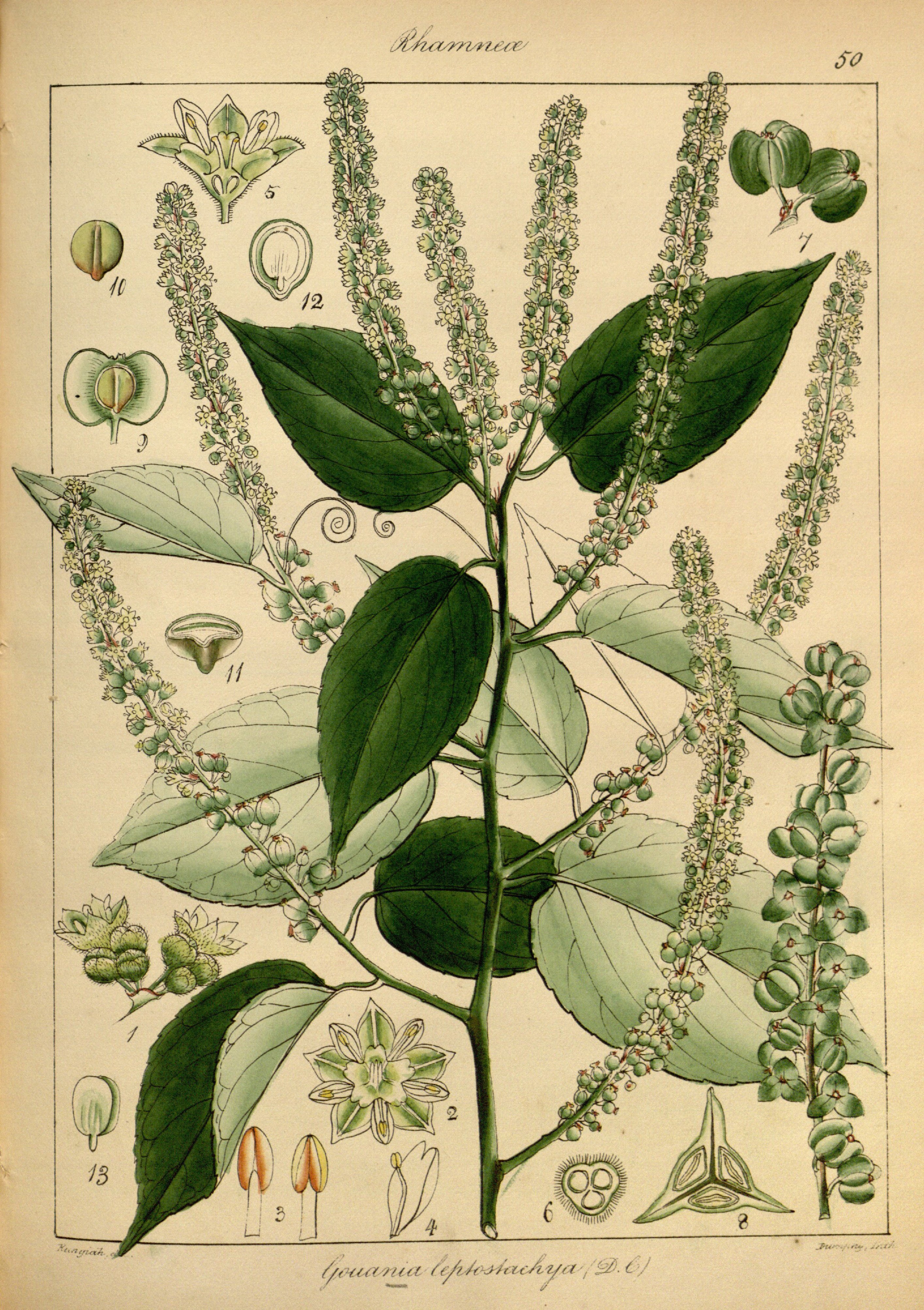 no full size  illustration available (3a)