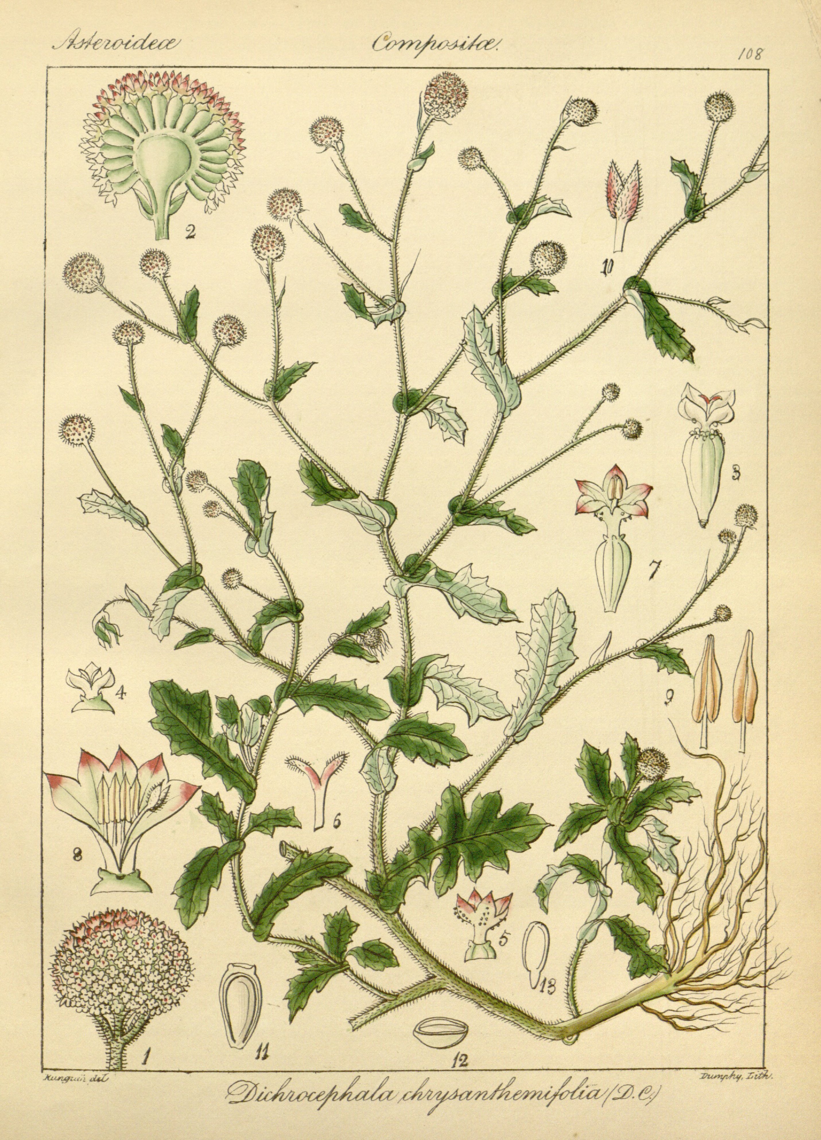 no full size  illustration available (3a)