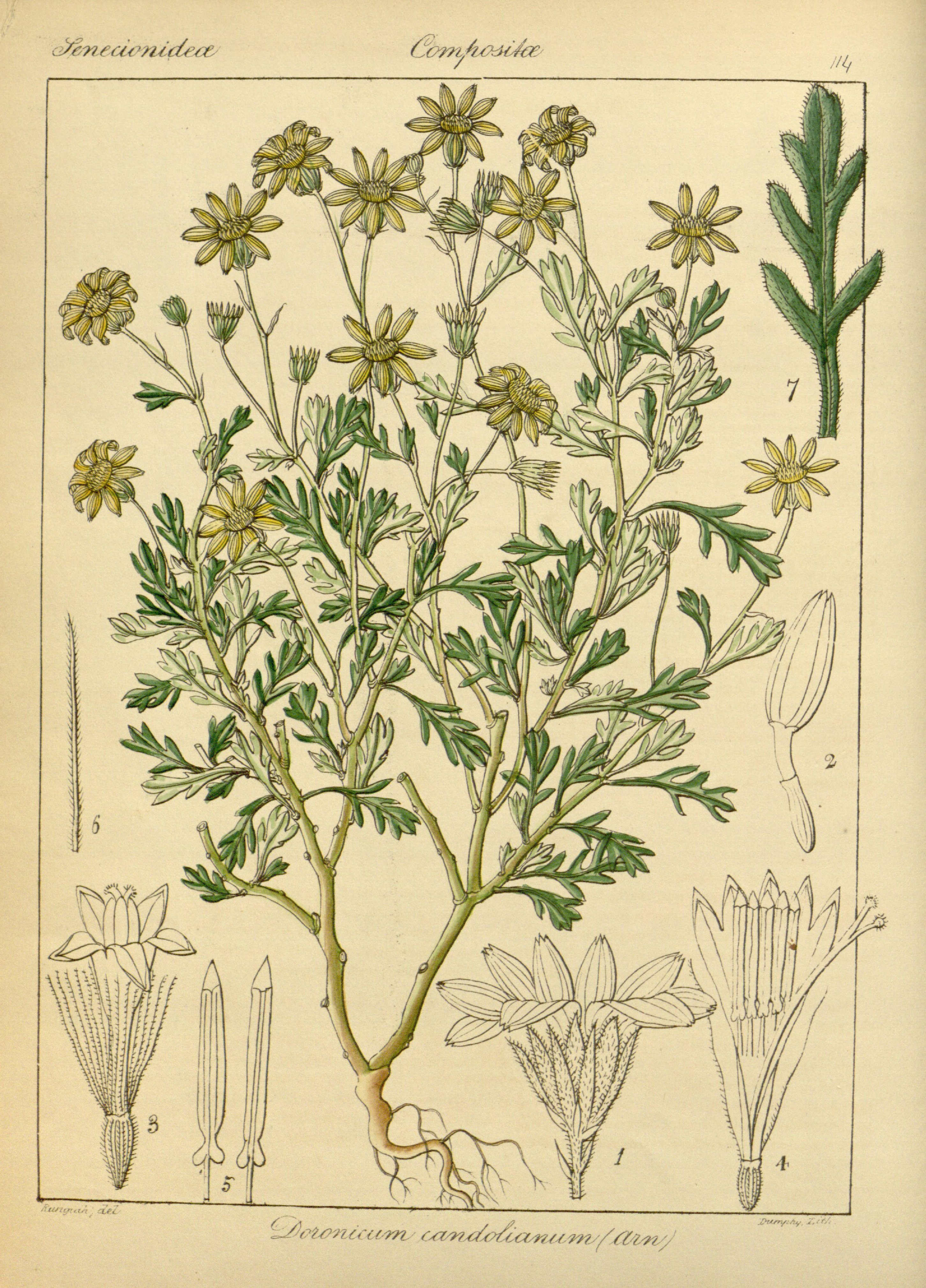 no full size  illustration available (3a)