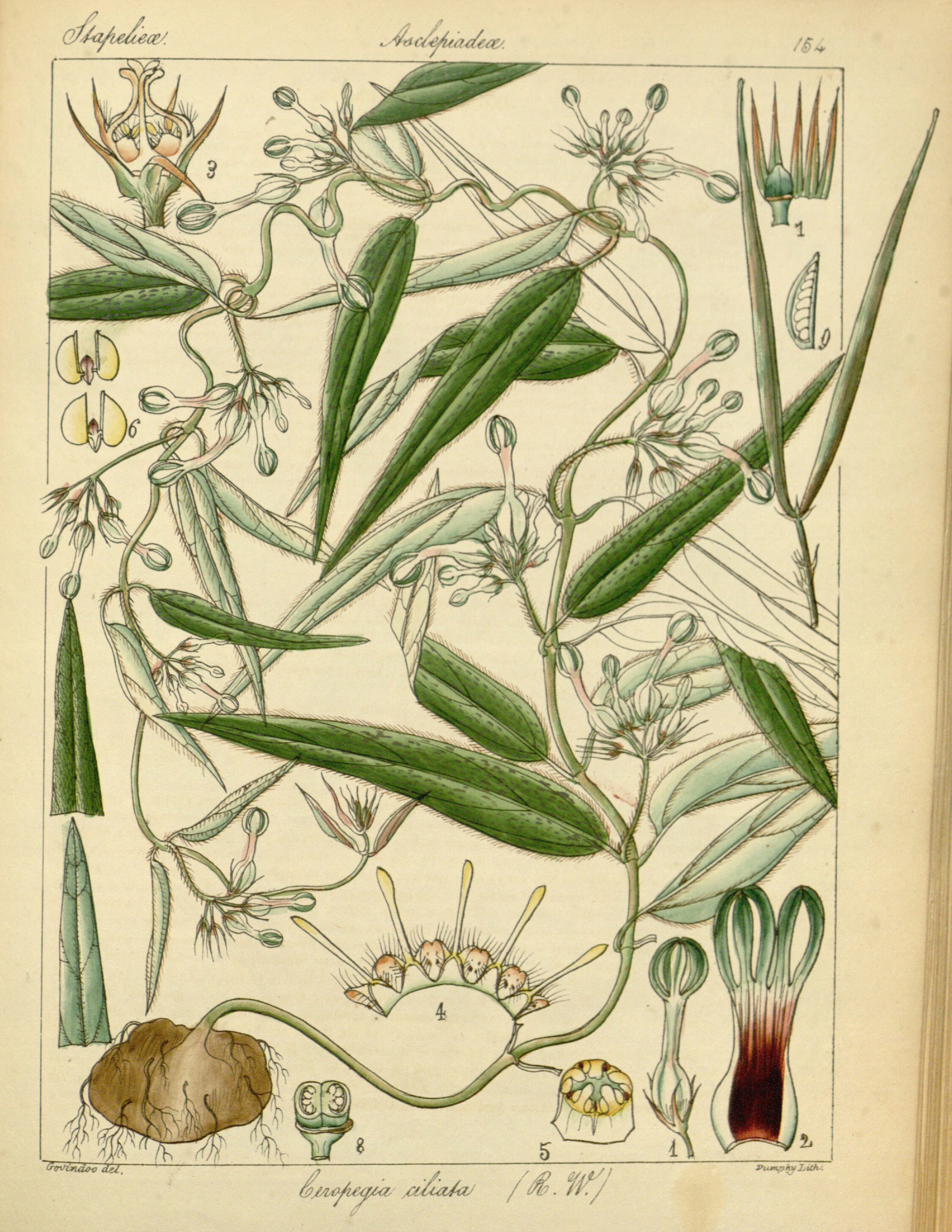 no full size  illustration available (3a)