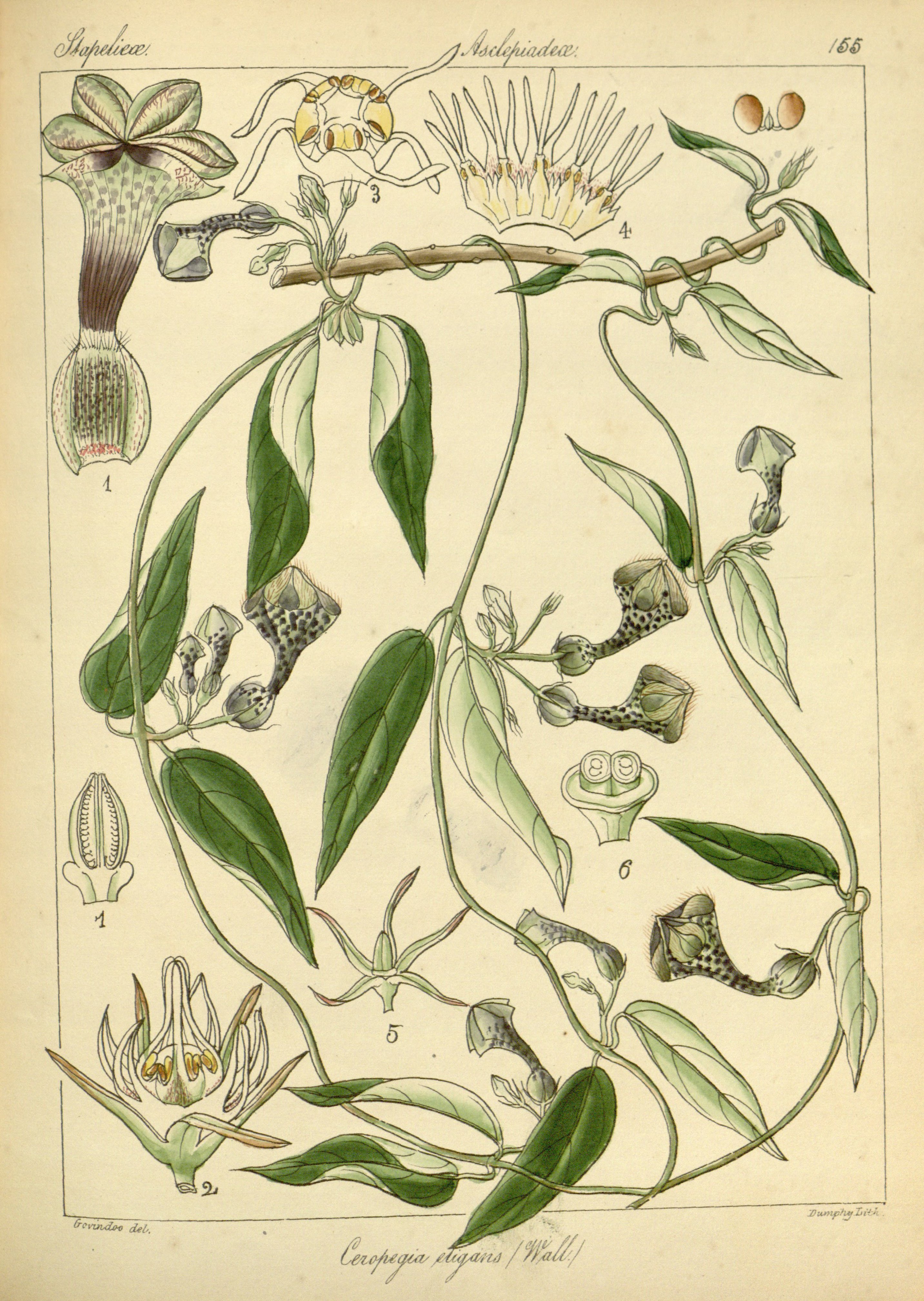 no full size  illustration available (3a)