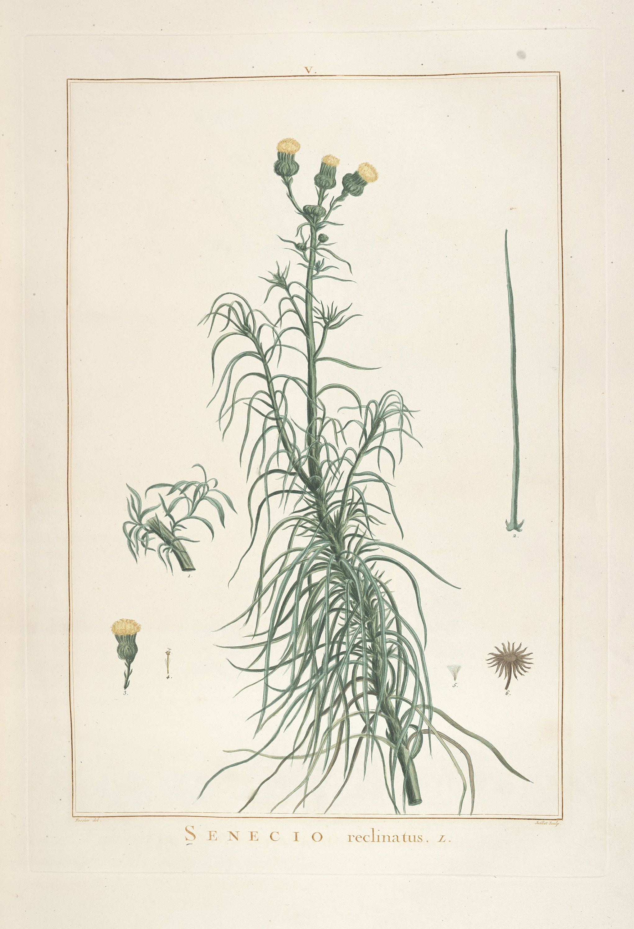 no full size  illustration available (3a)