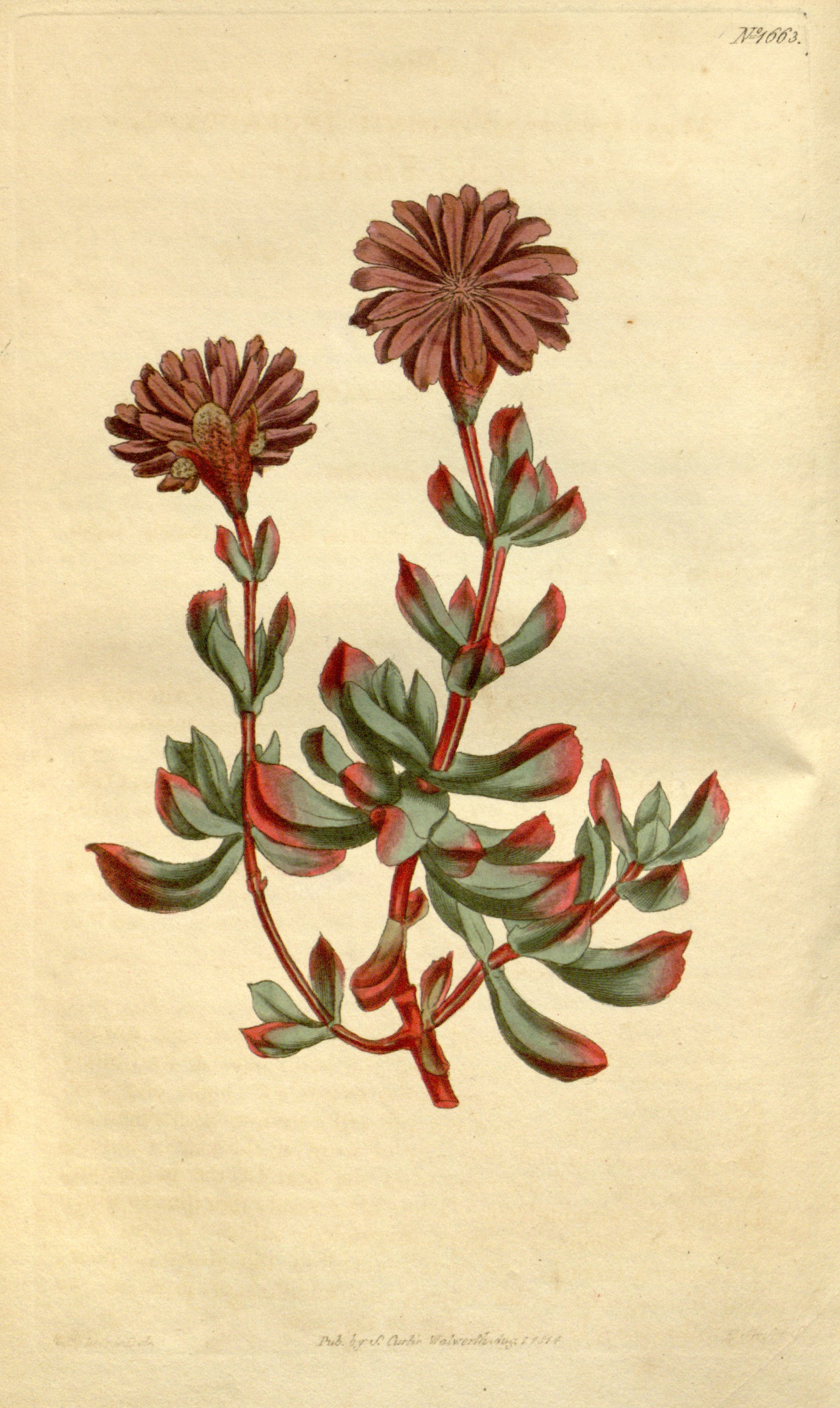 no full size  illustration available (3a)