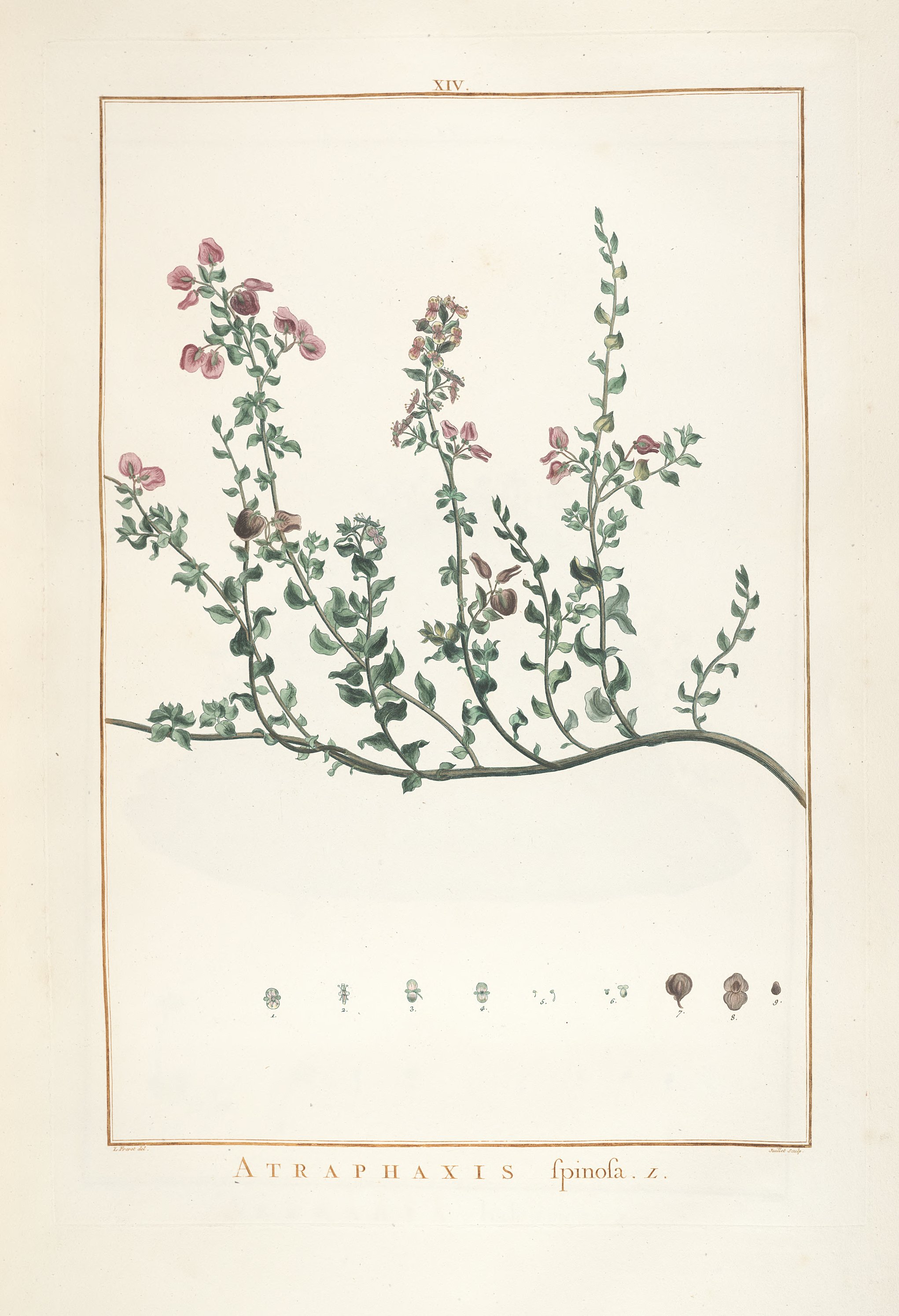 no full size  illustration available (3a)