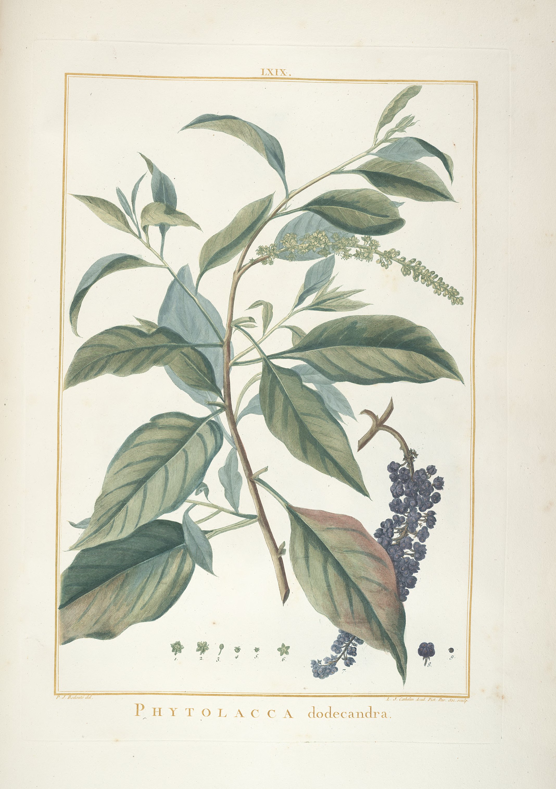 no full size  illustration available (3a)