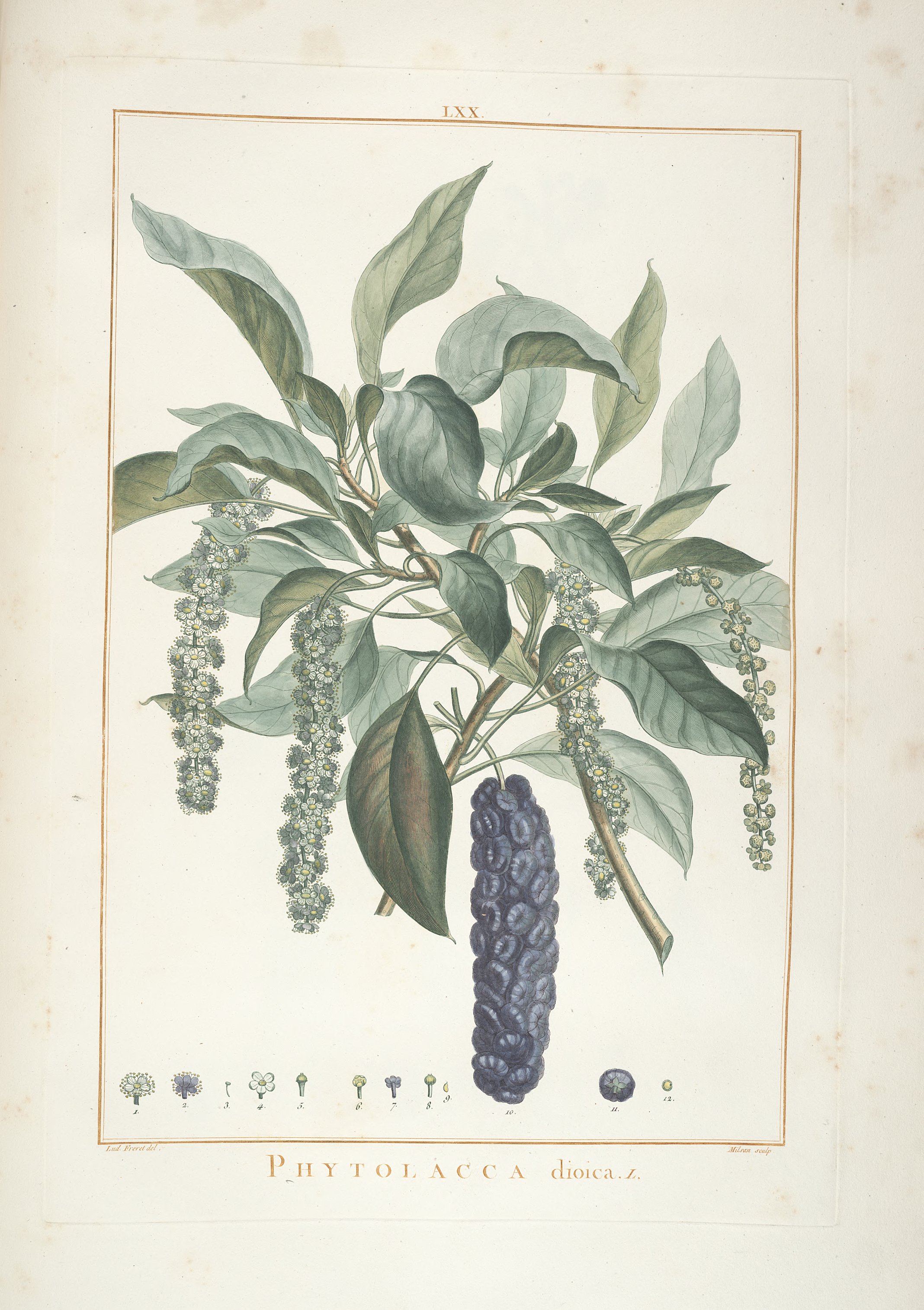 no full size  illustration available (3a)