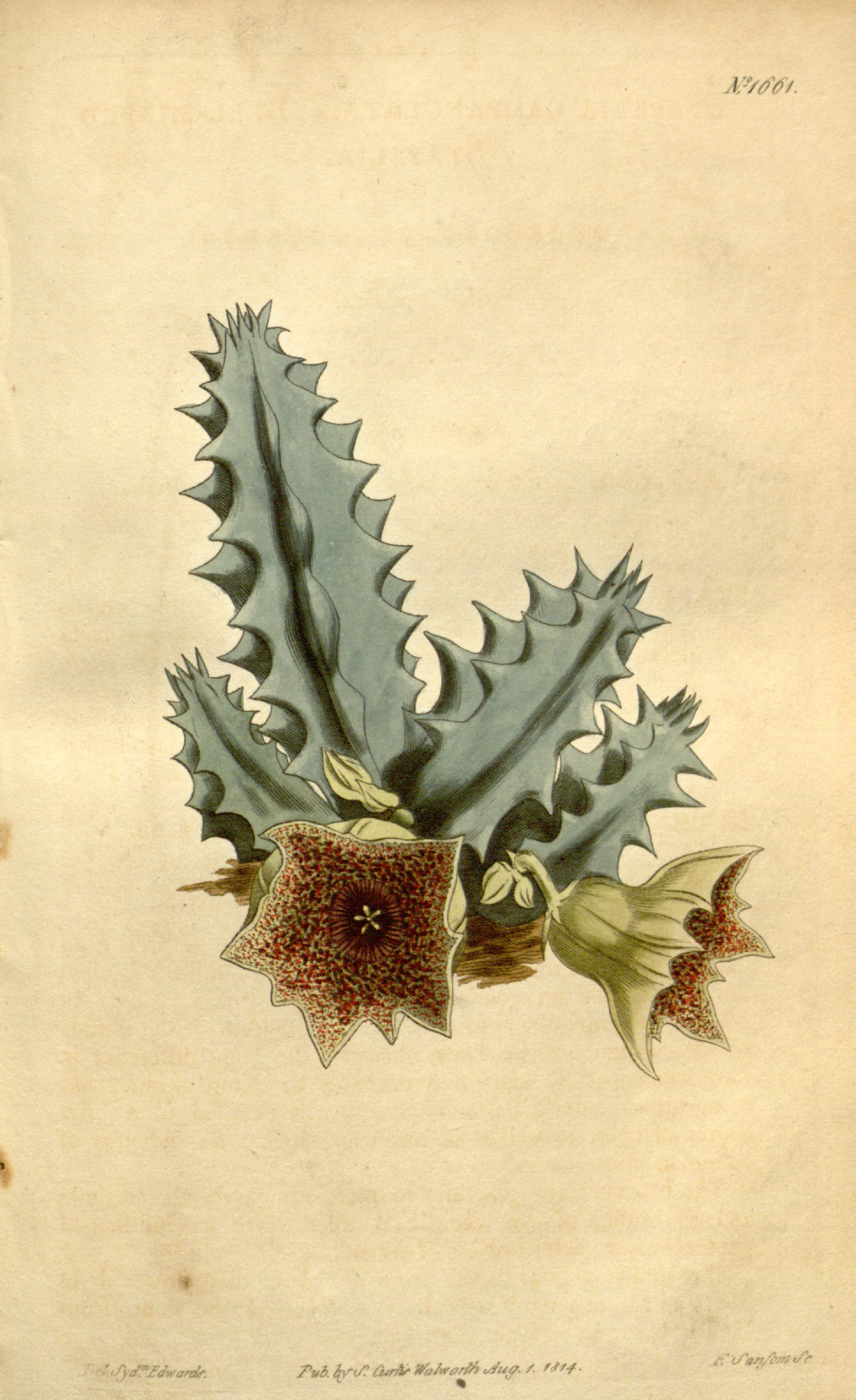 no full size  illustration available (3a)