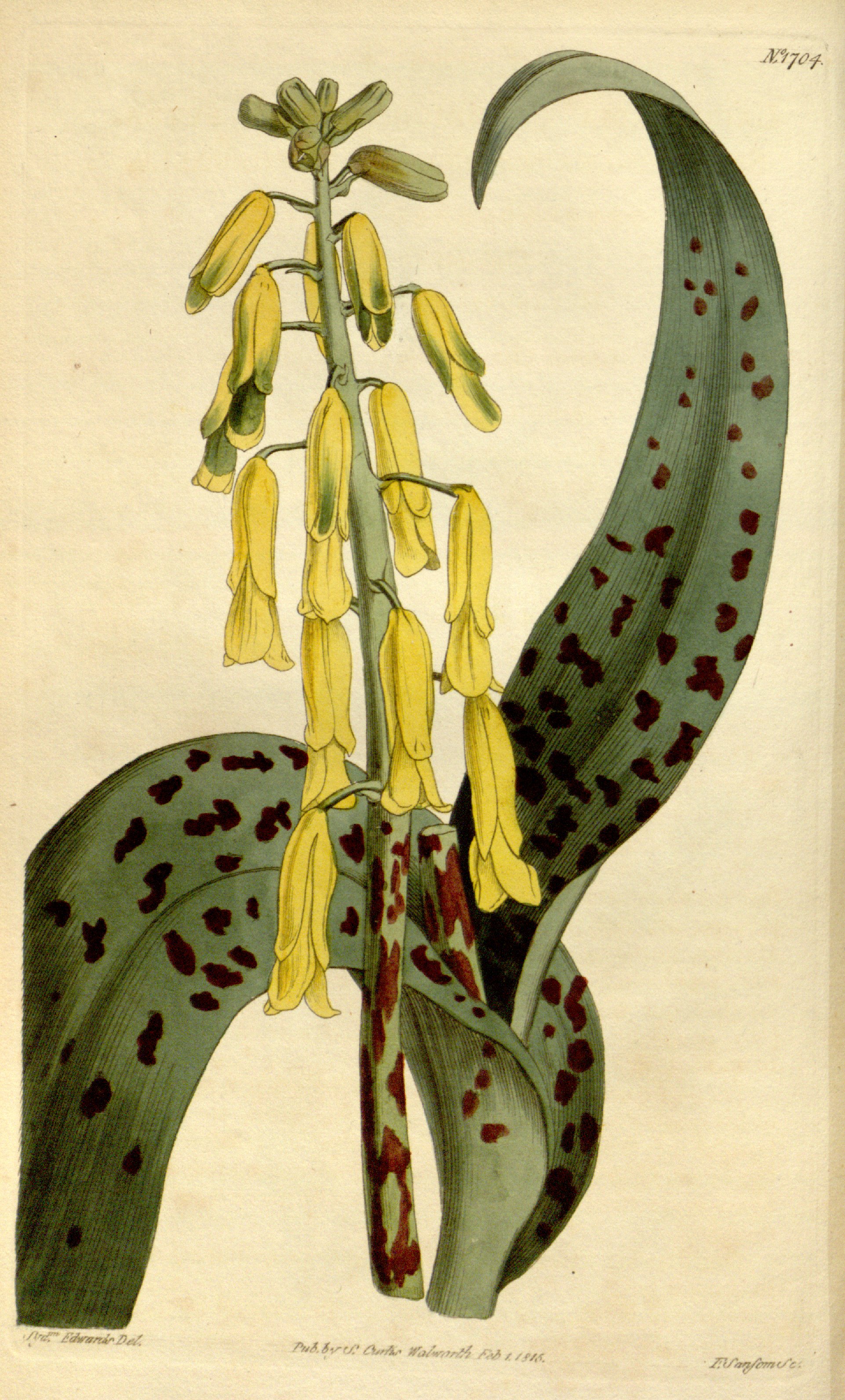 no full size  illustration available (3a)