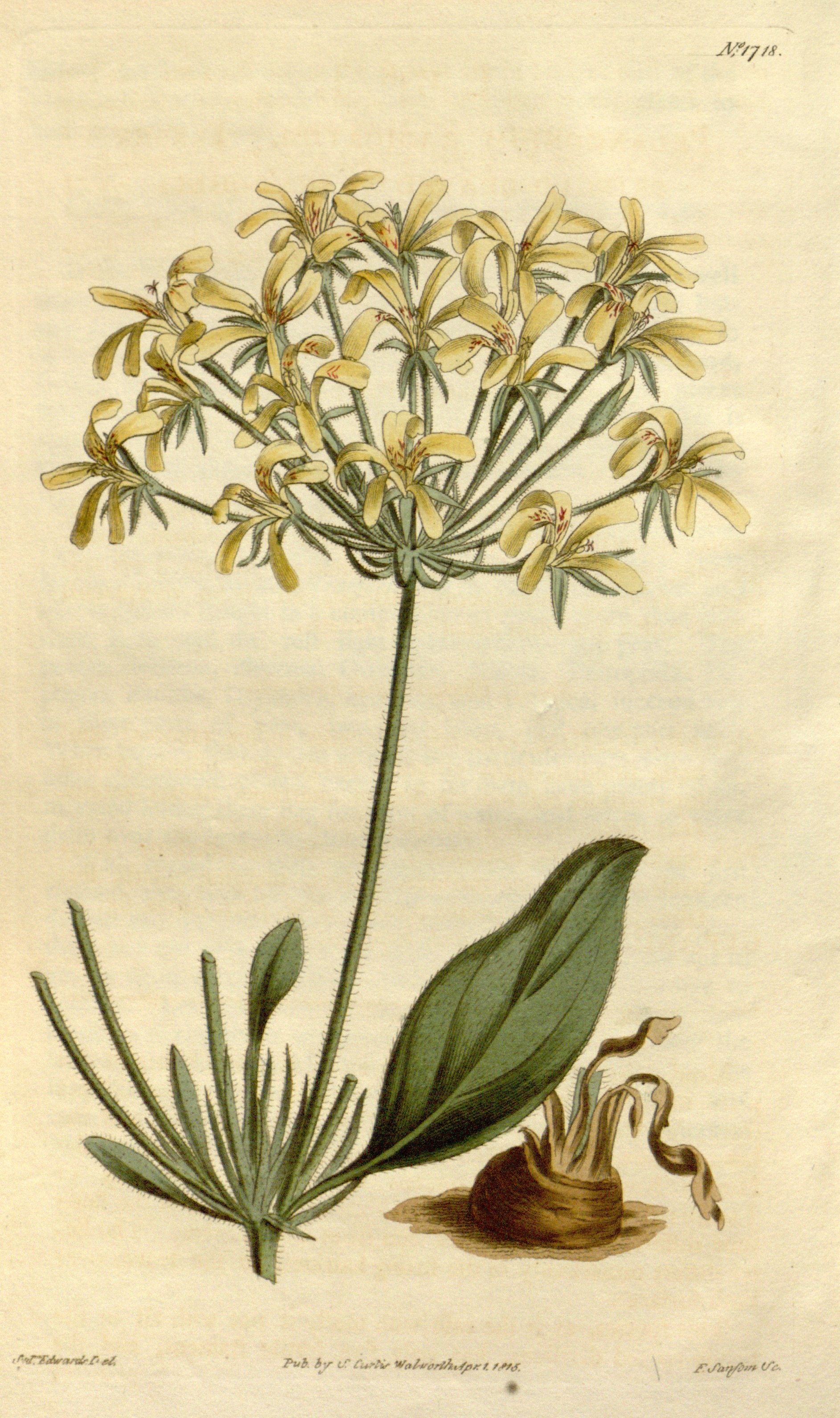 no full size  illustration available (3a)