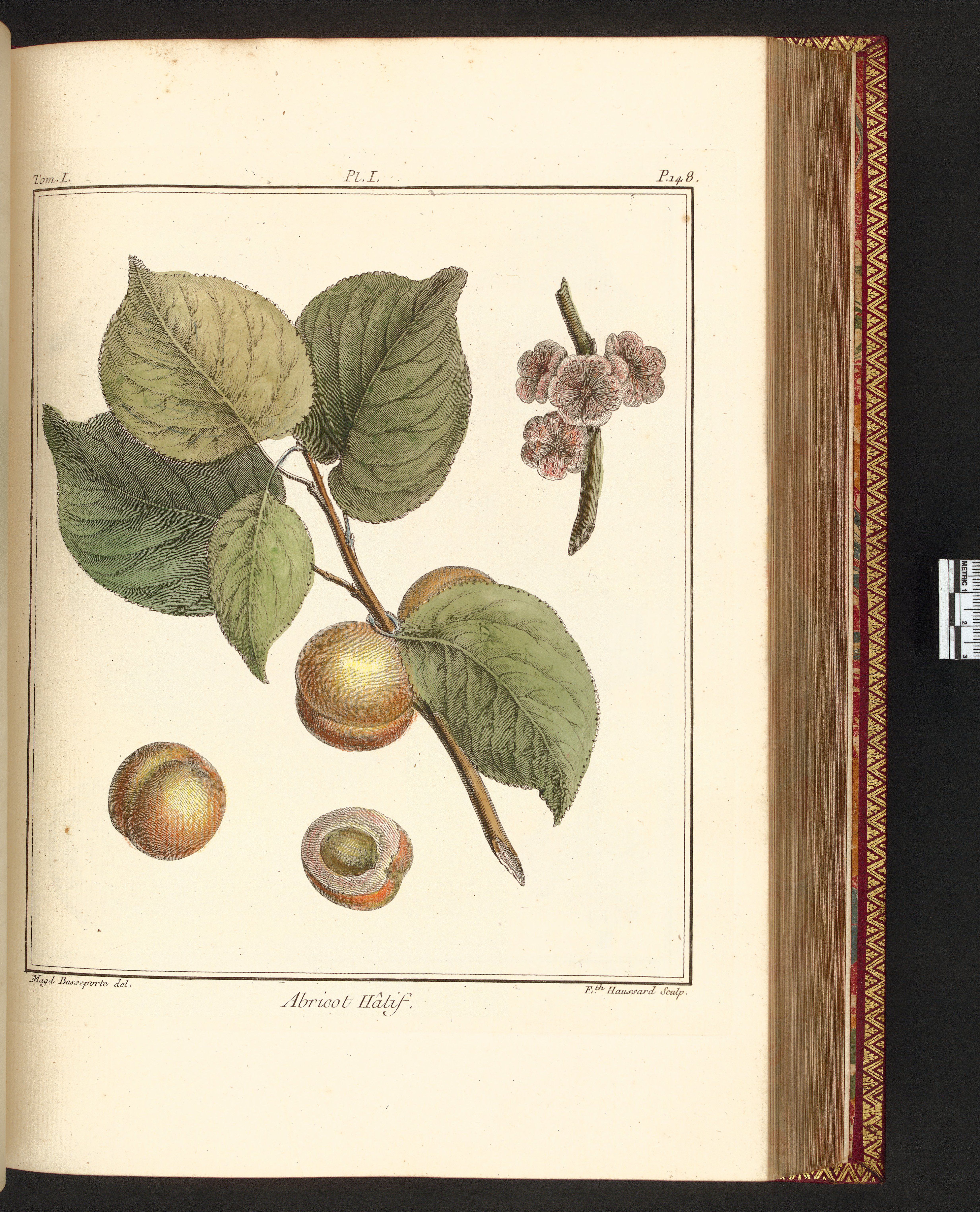 no full size  illustration available (3a)