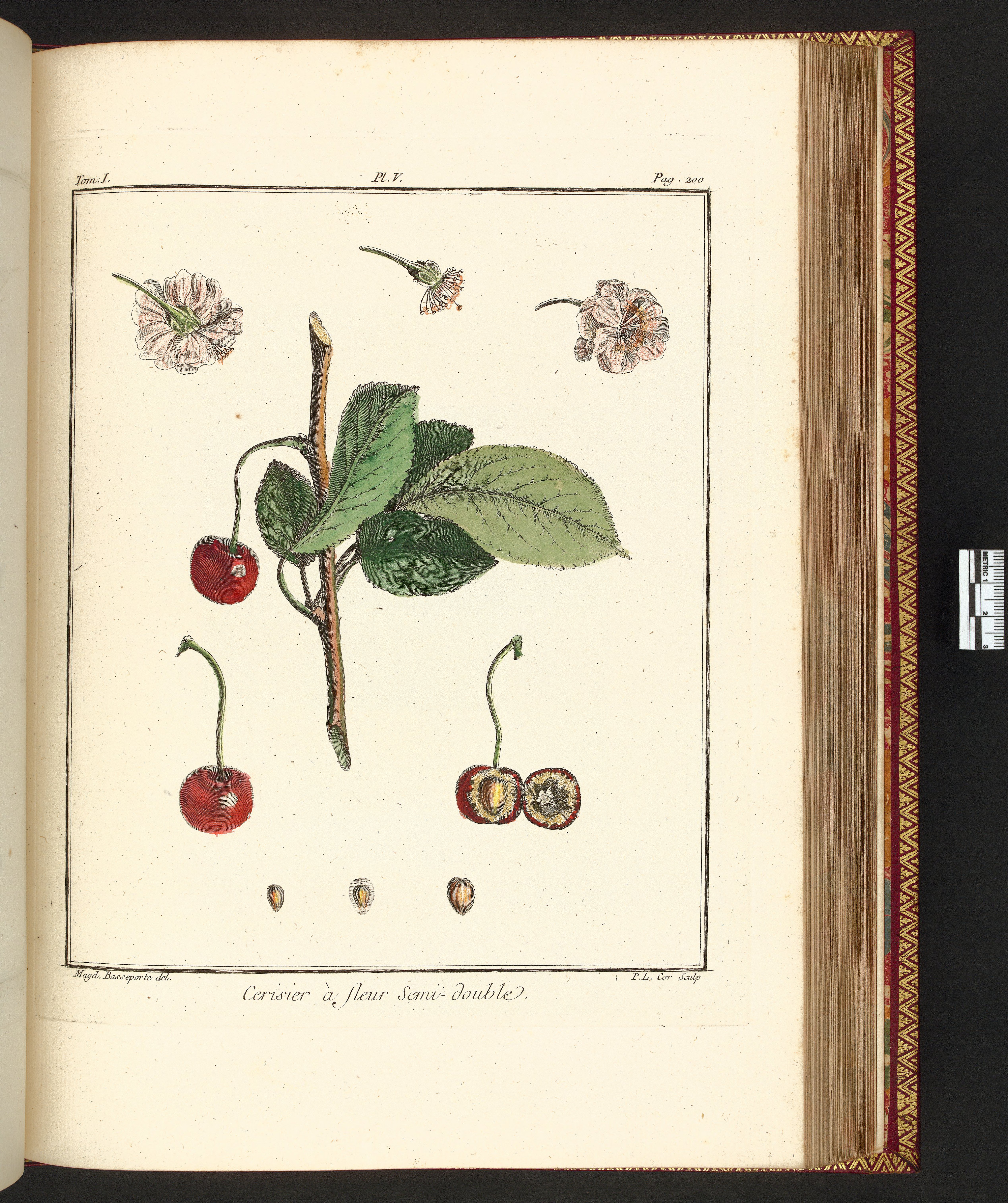 no full size  illustration available (3a)