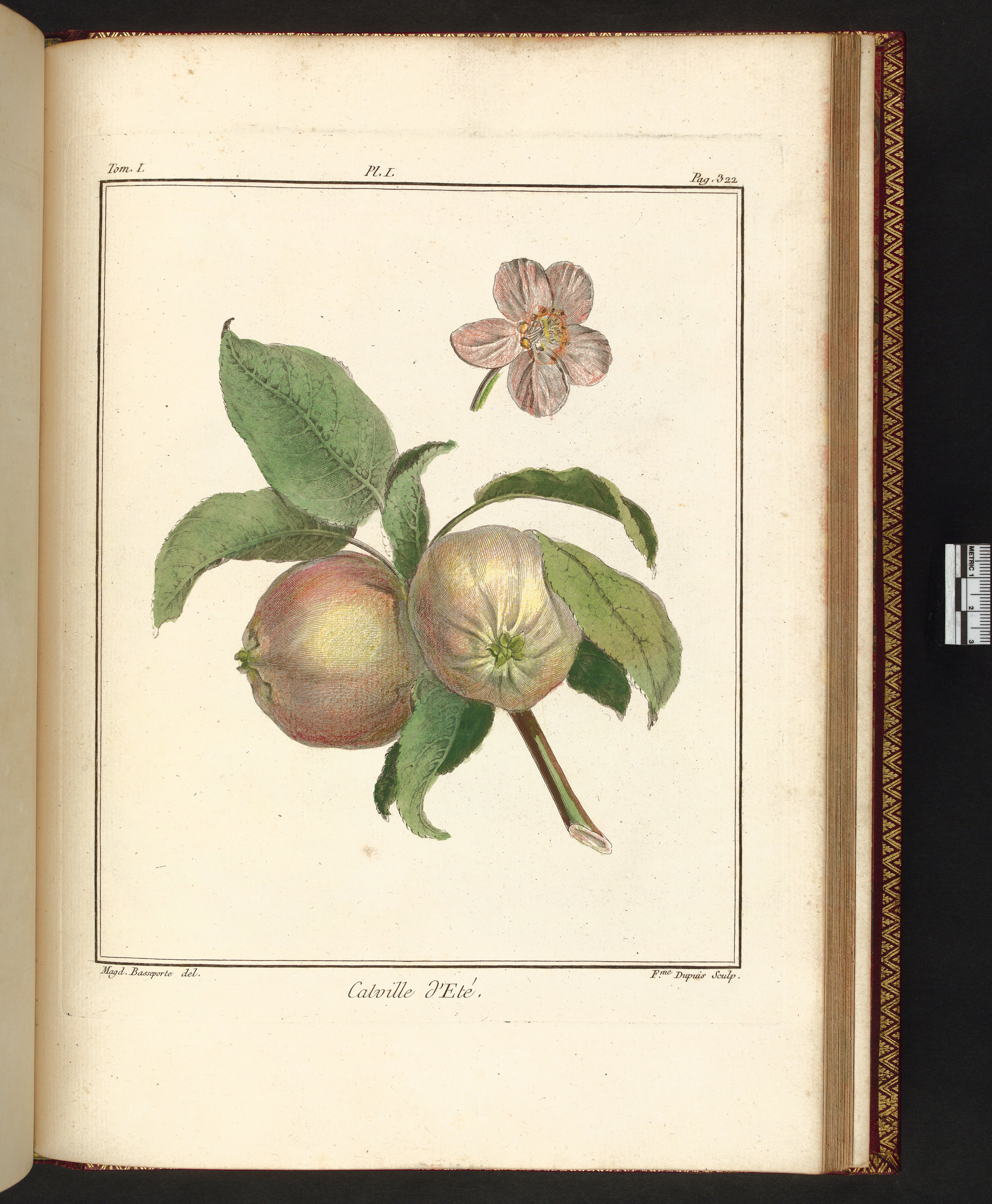 no full size  illustration available (3a)