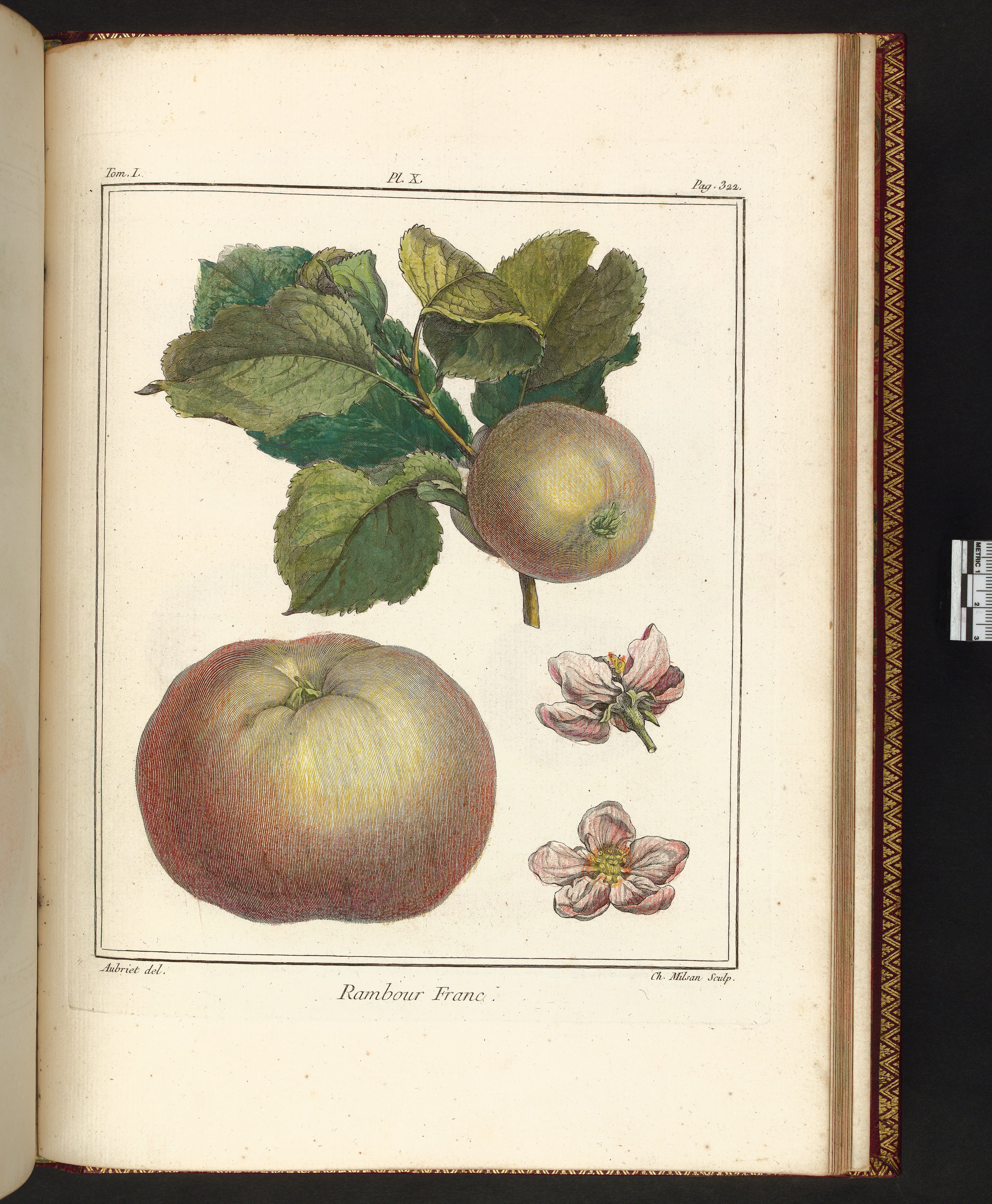 no full size  illustration available (3a)