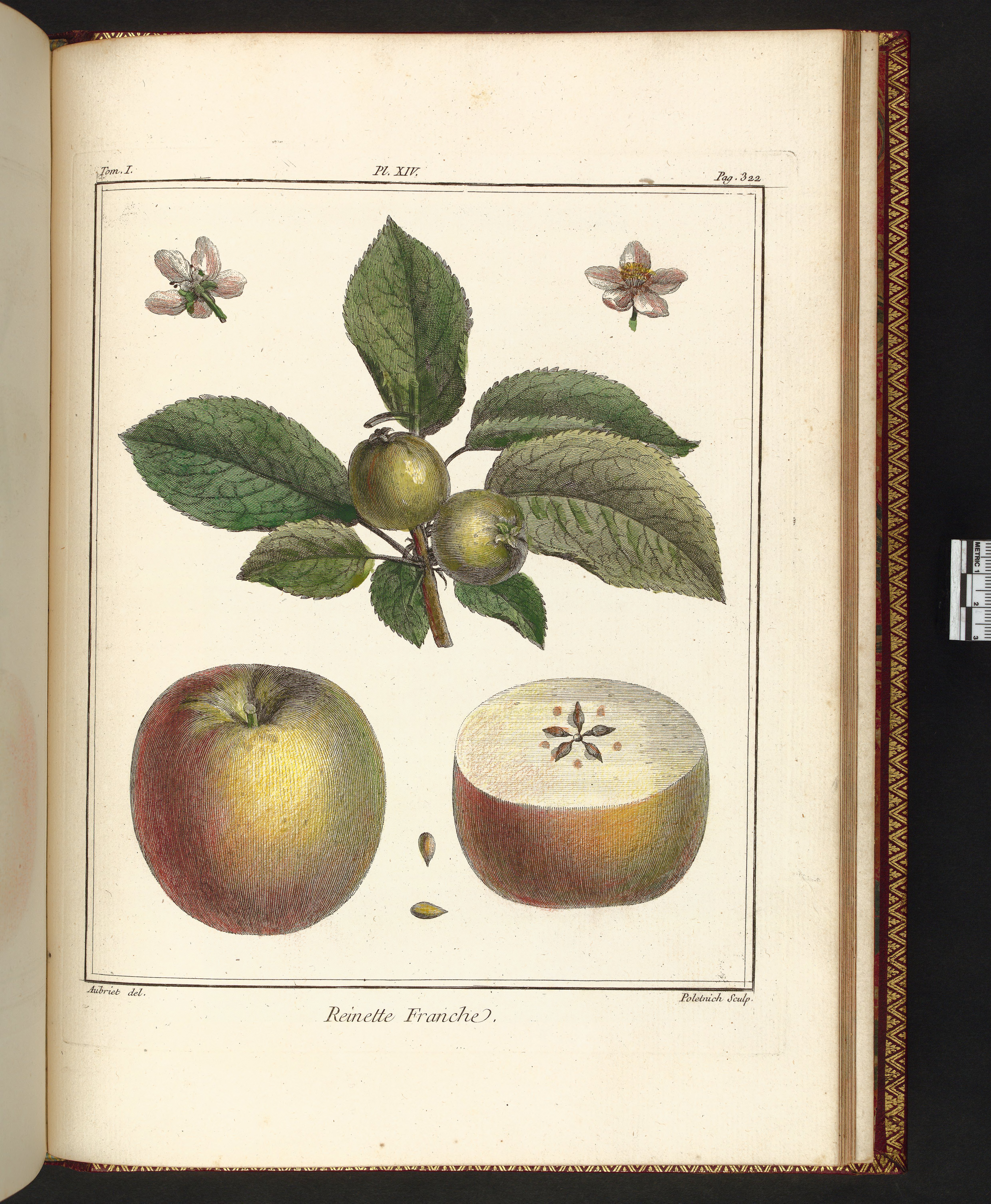 no full size  illustration available (3a)