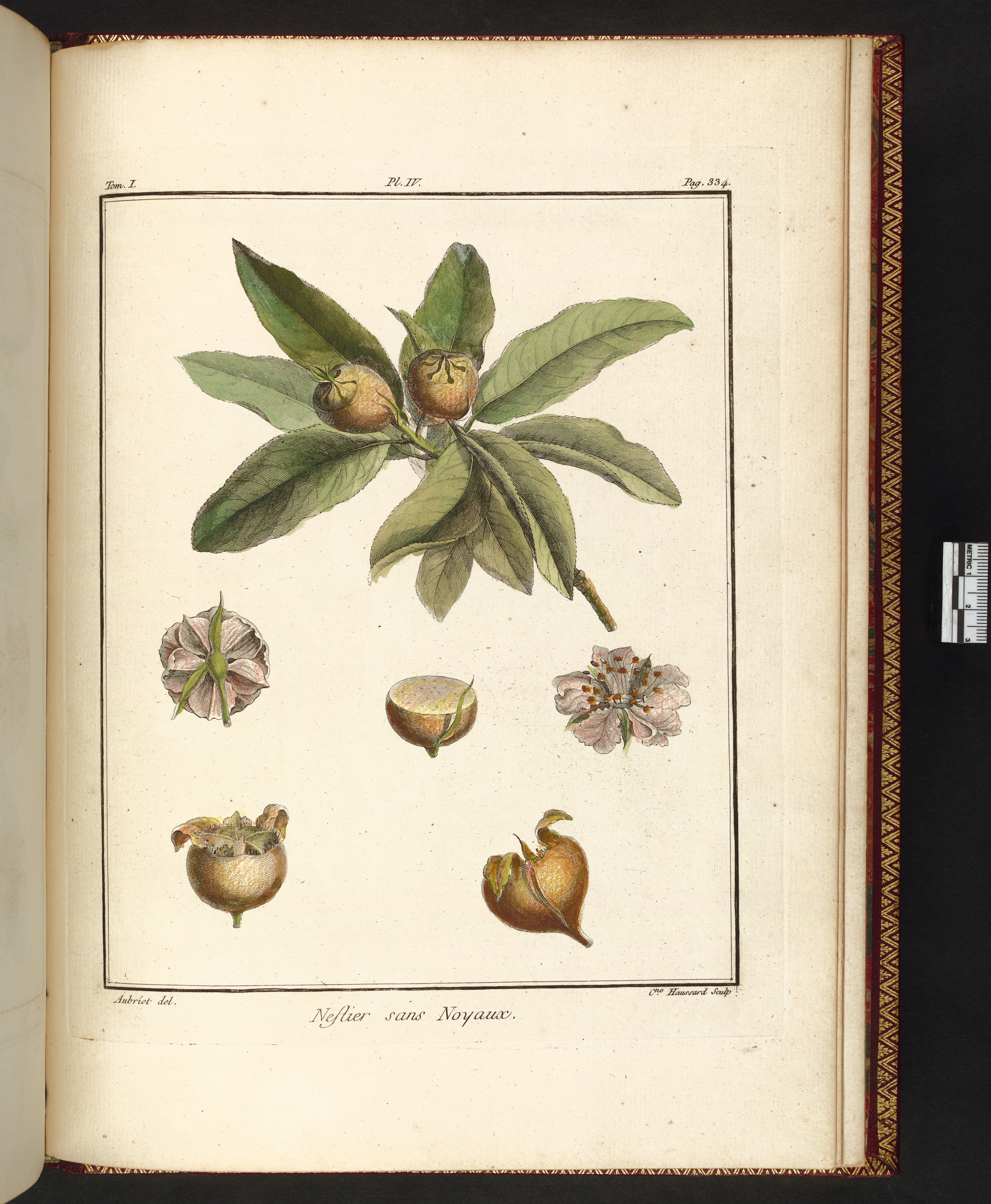 no full size  illustration available (3a)