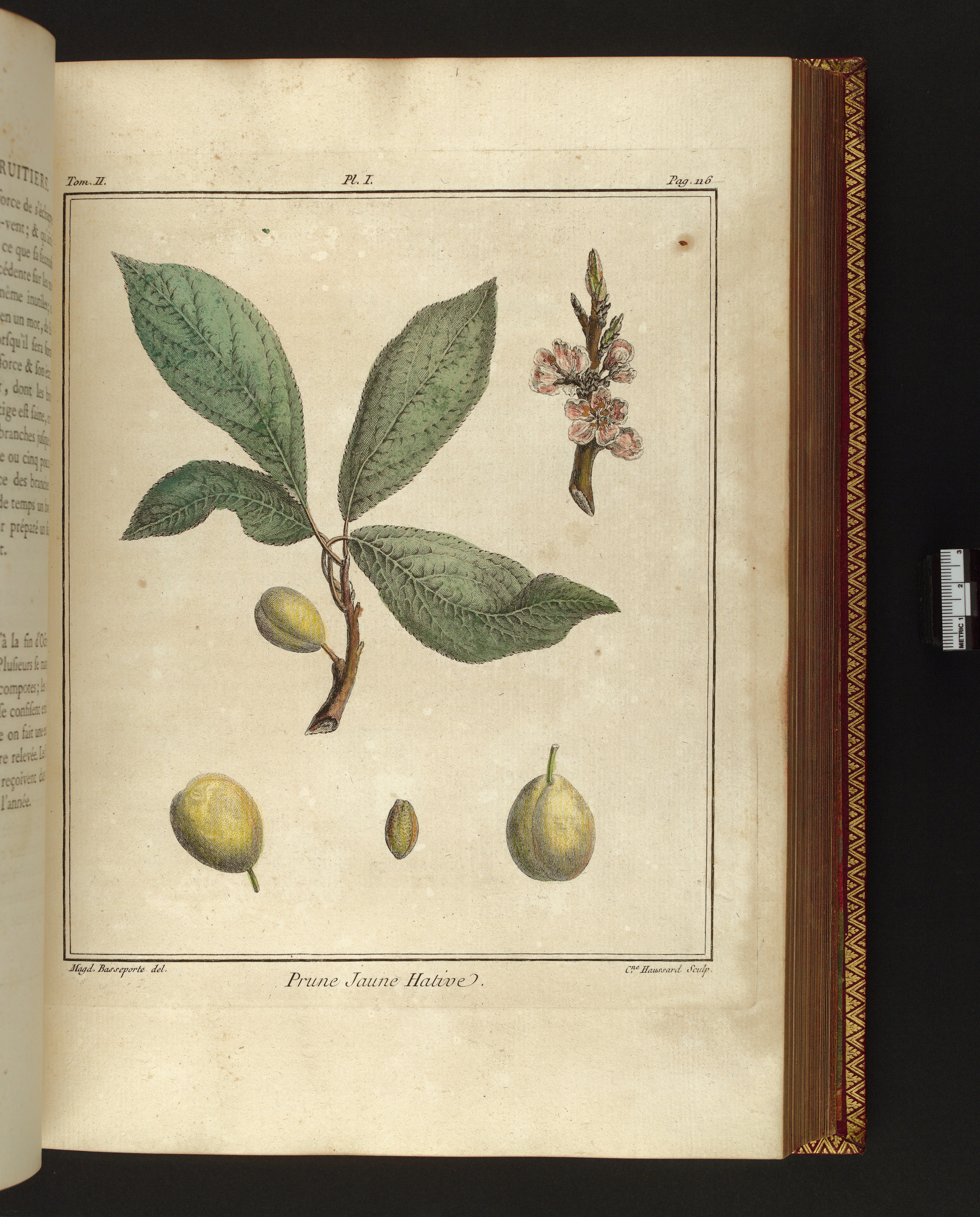 no full size  illustration available (3a)