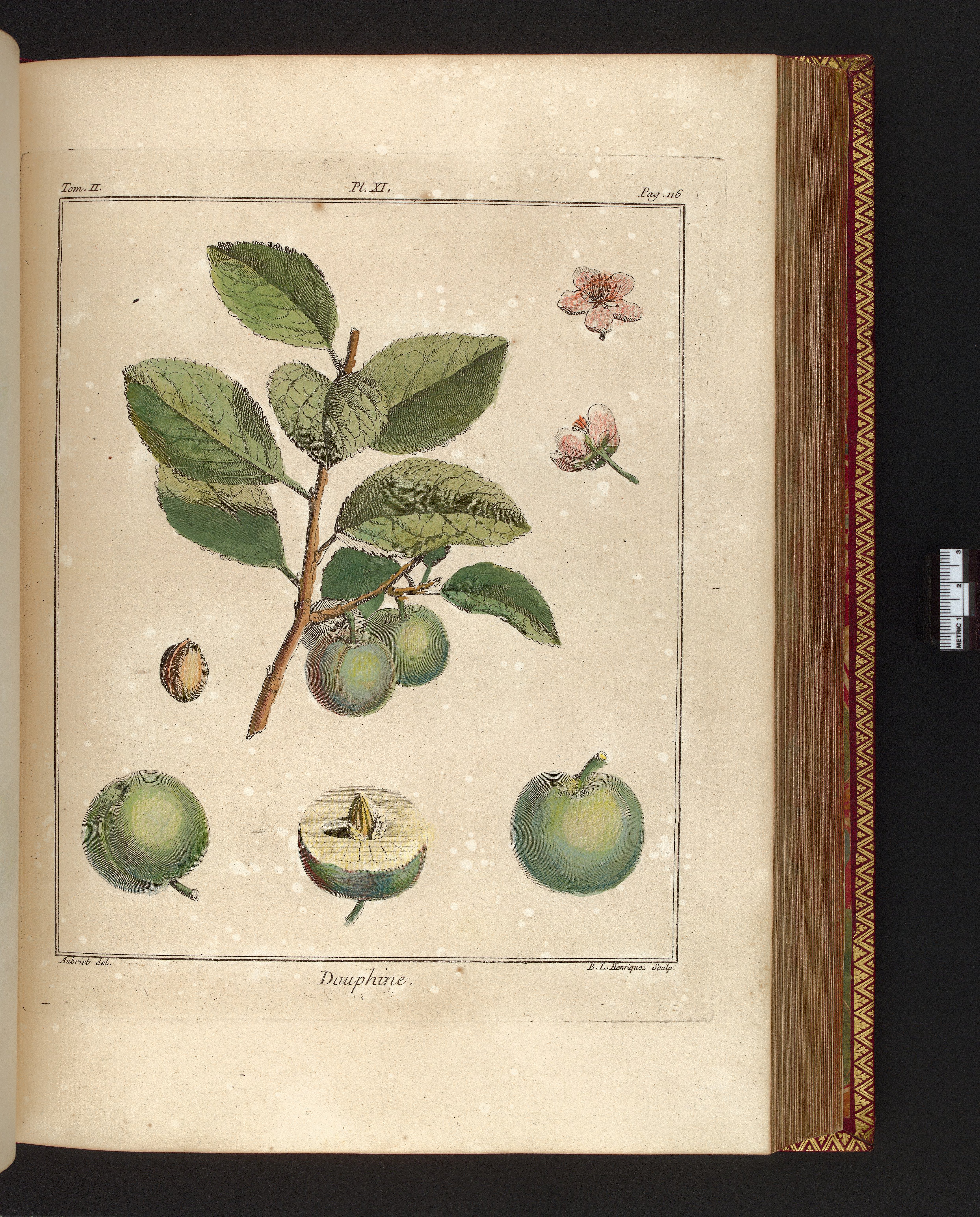 no full size  illustration available (3a)