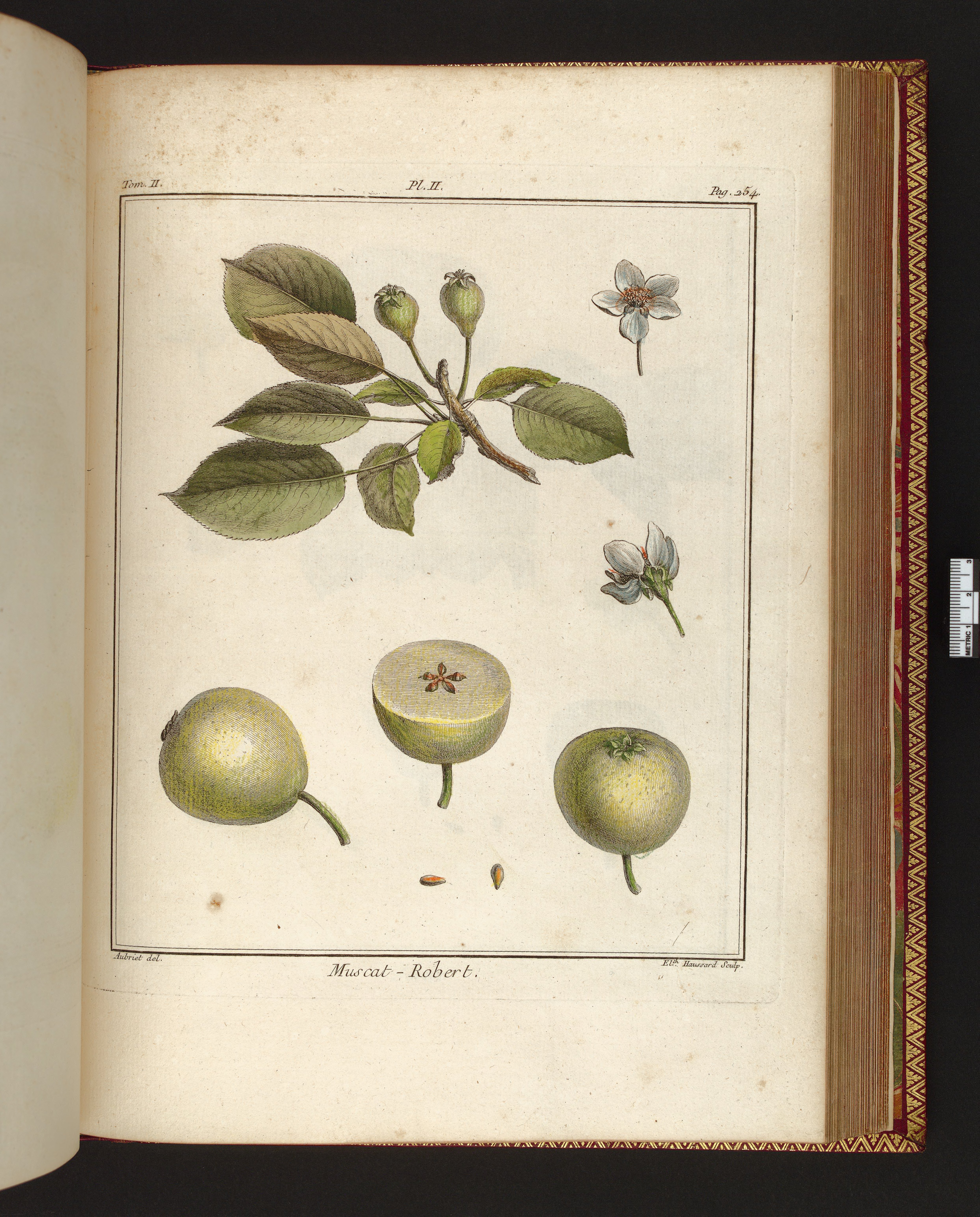 no full size  illustration available (3a)