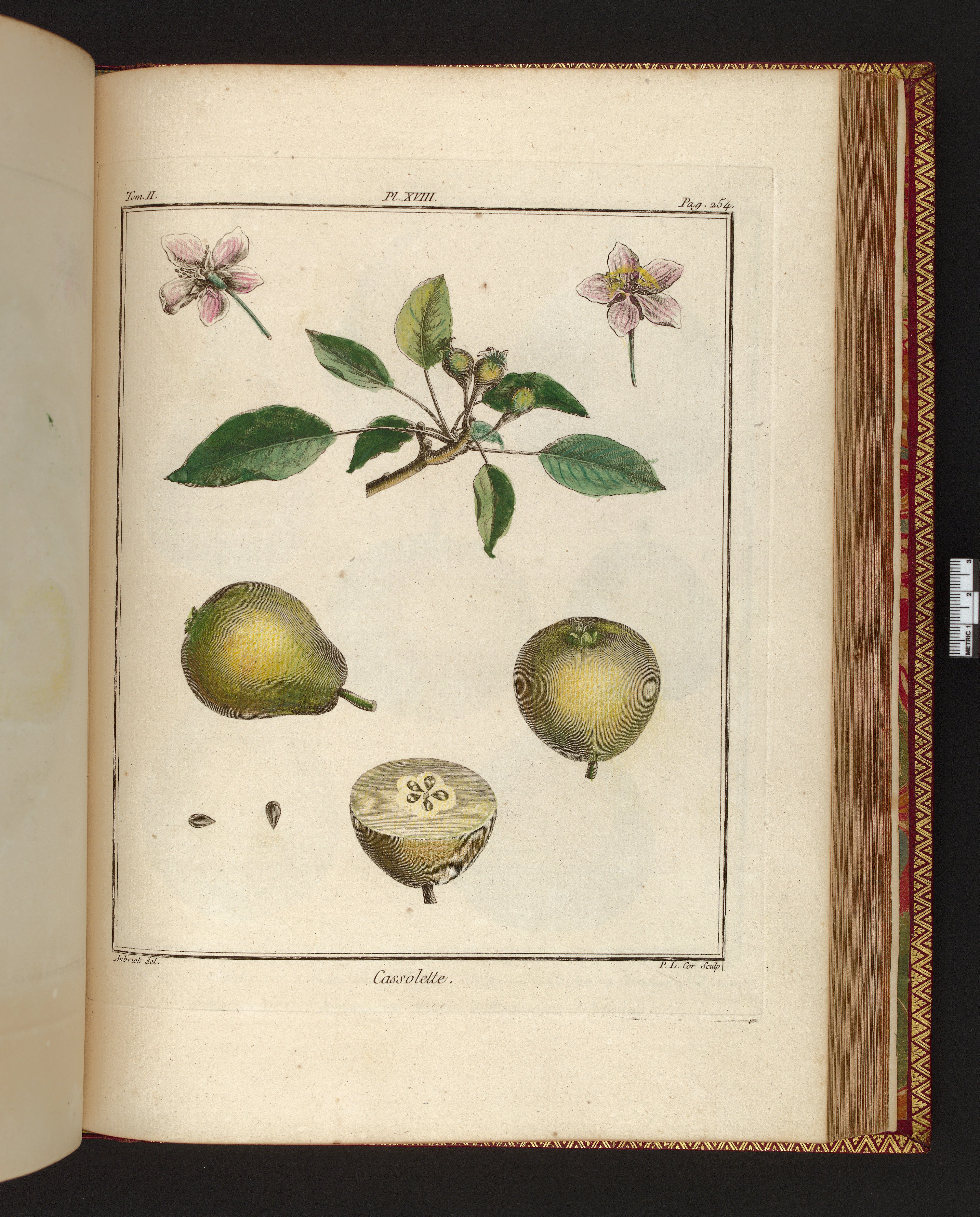 no full size  illustration available (3a)