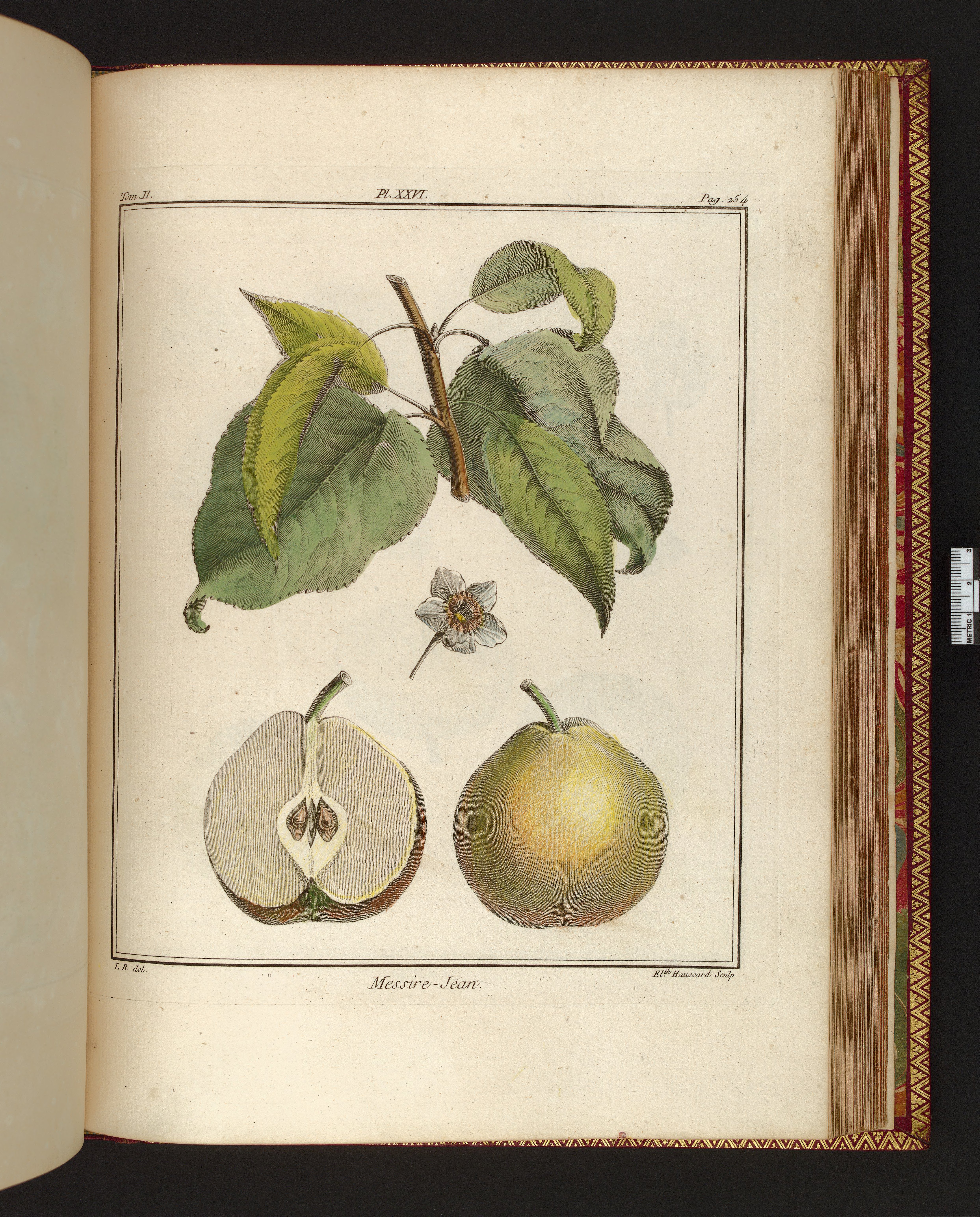 no full size  illustration available (3a)