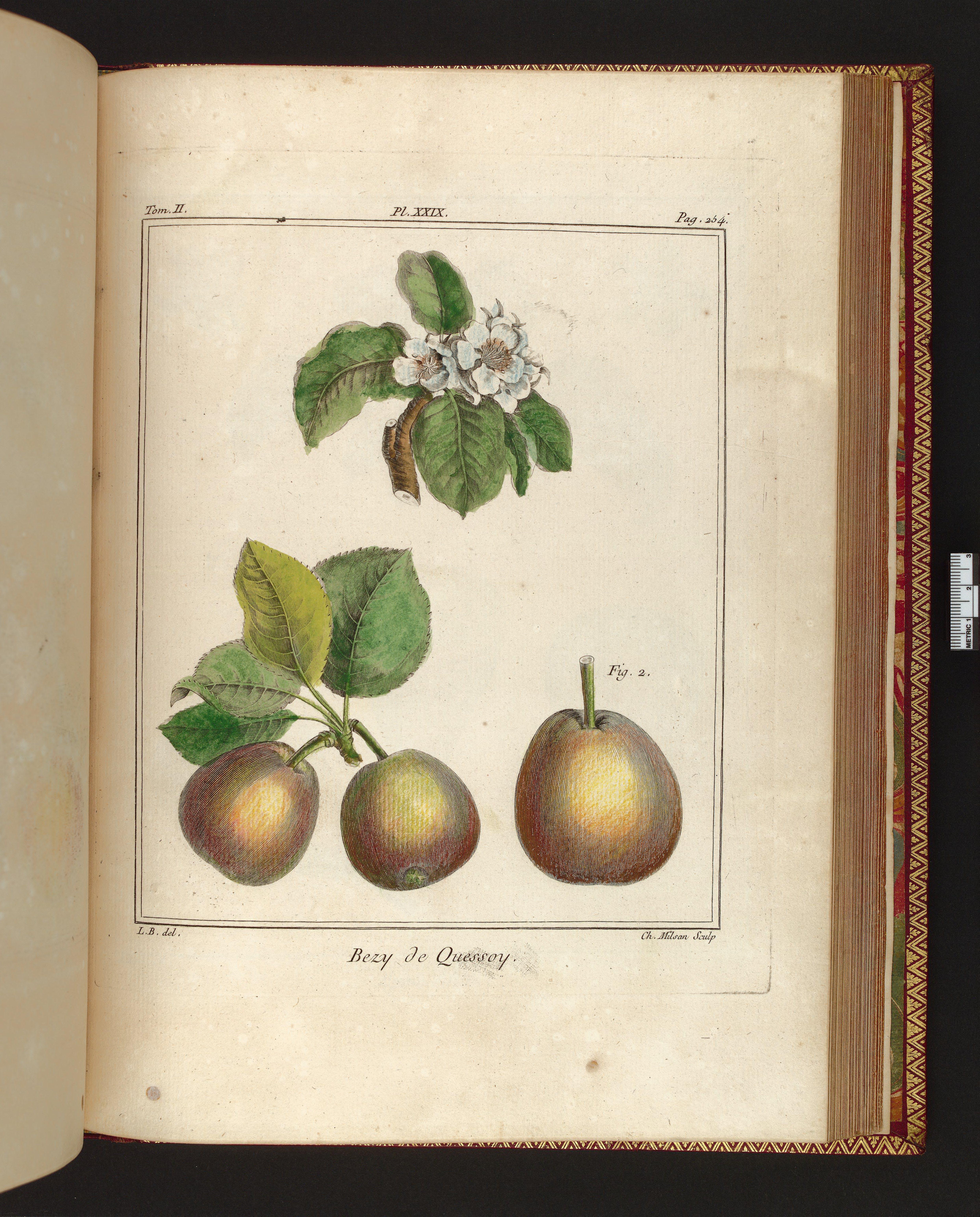 no full size  illustration available (3a)