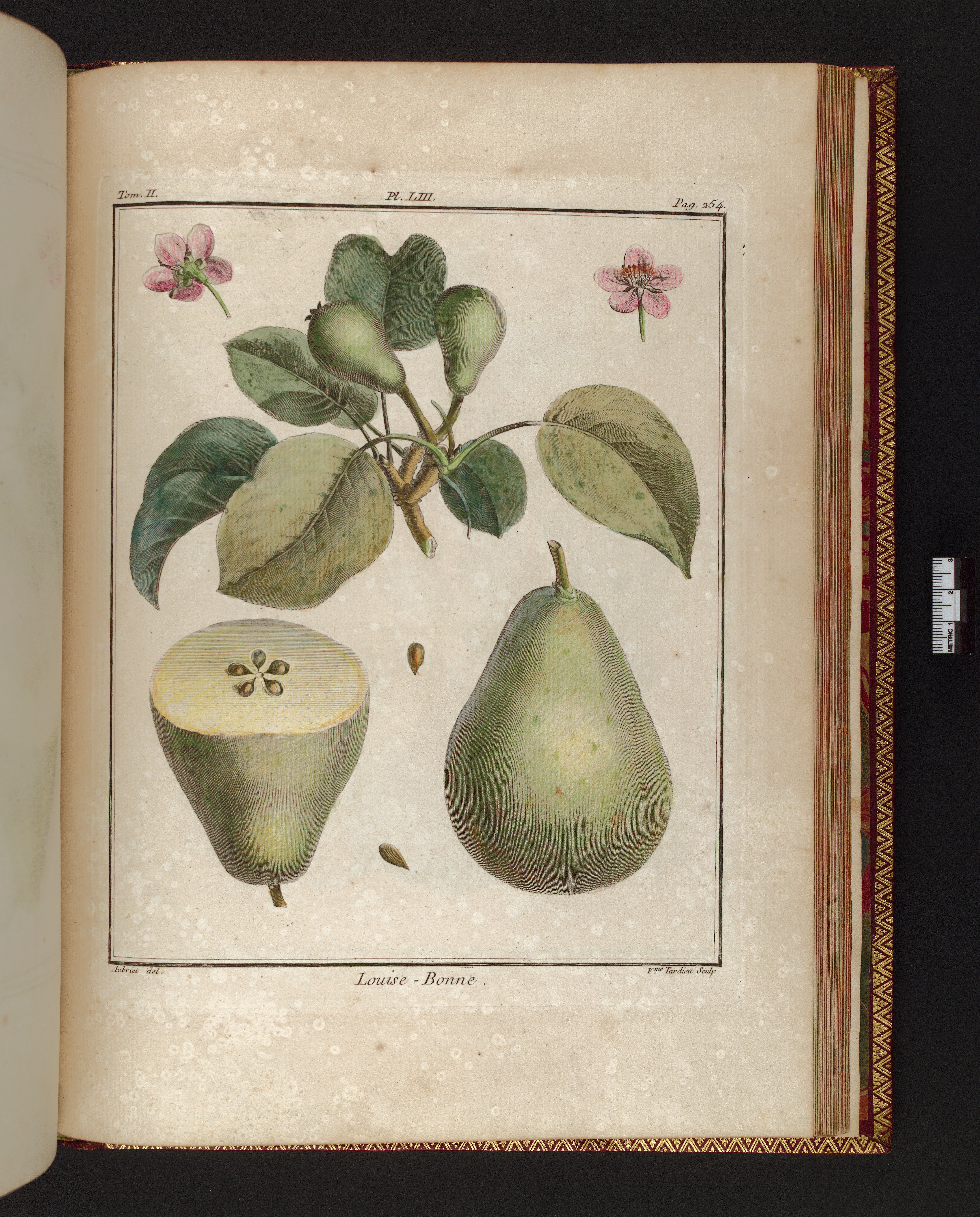 no full size  illustration available (3a)