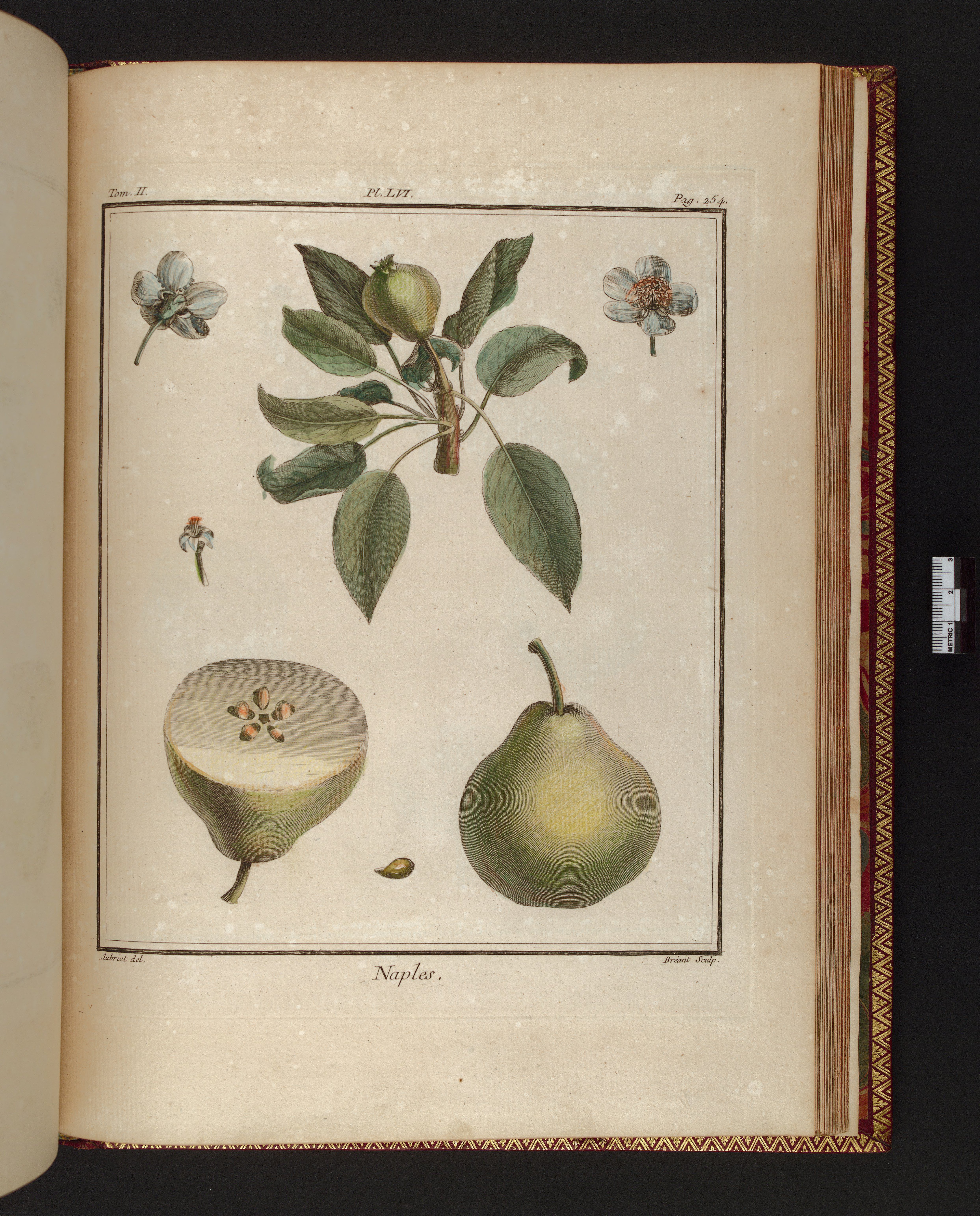 no full size  illustration available (3a)