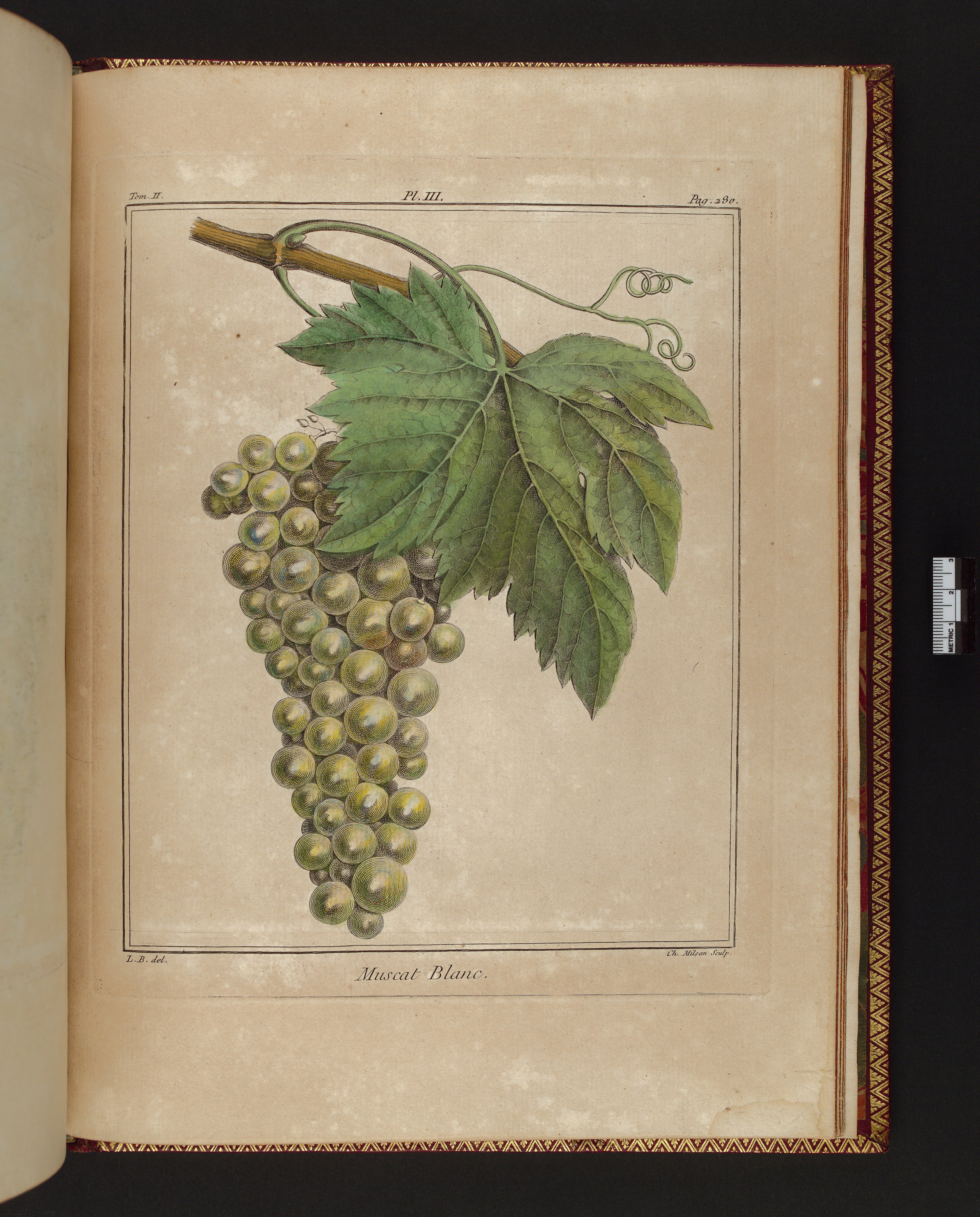 no full size  illustration available (3a)