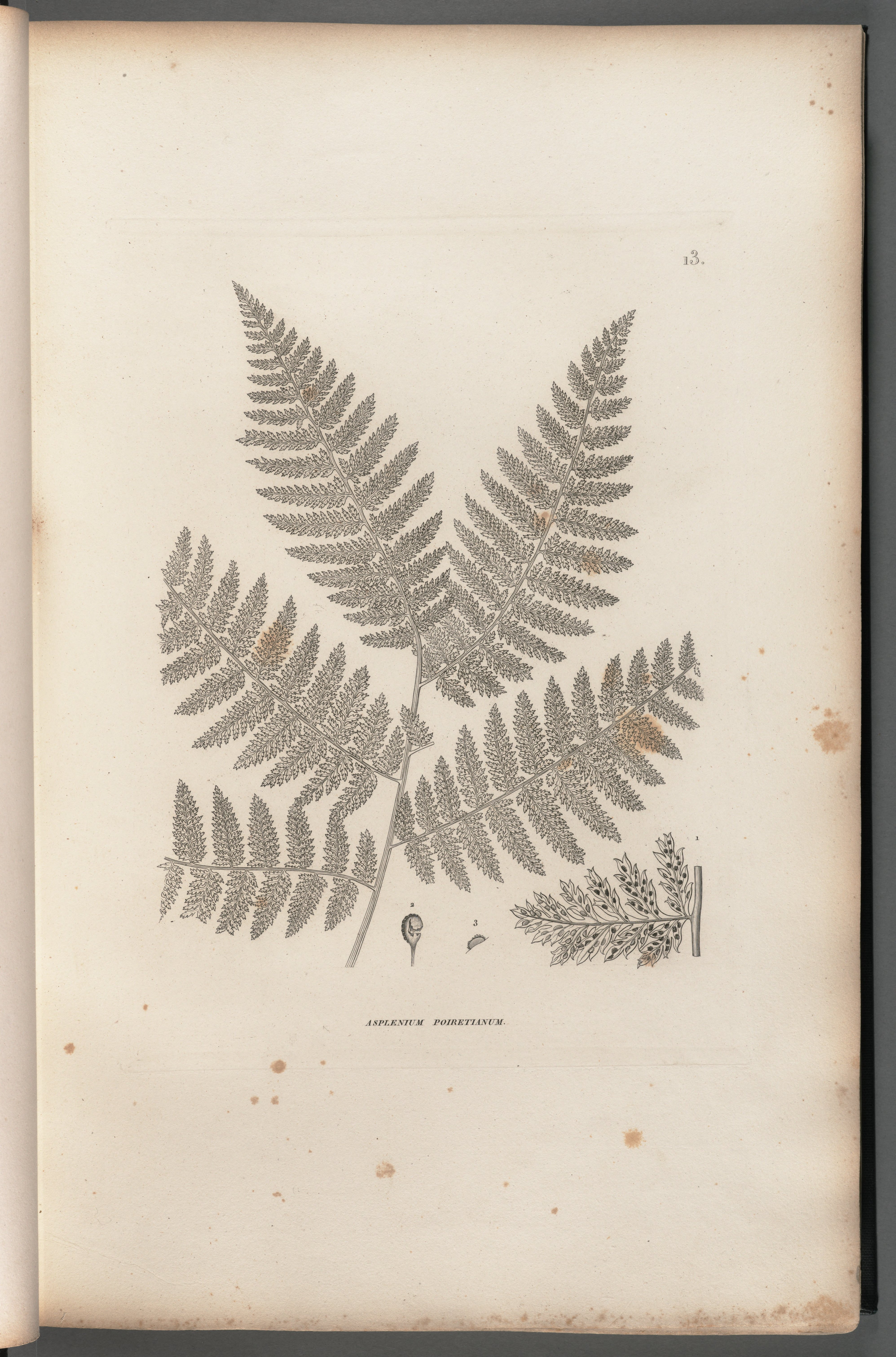 no full size  illustration available (3a)