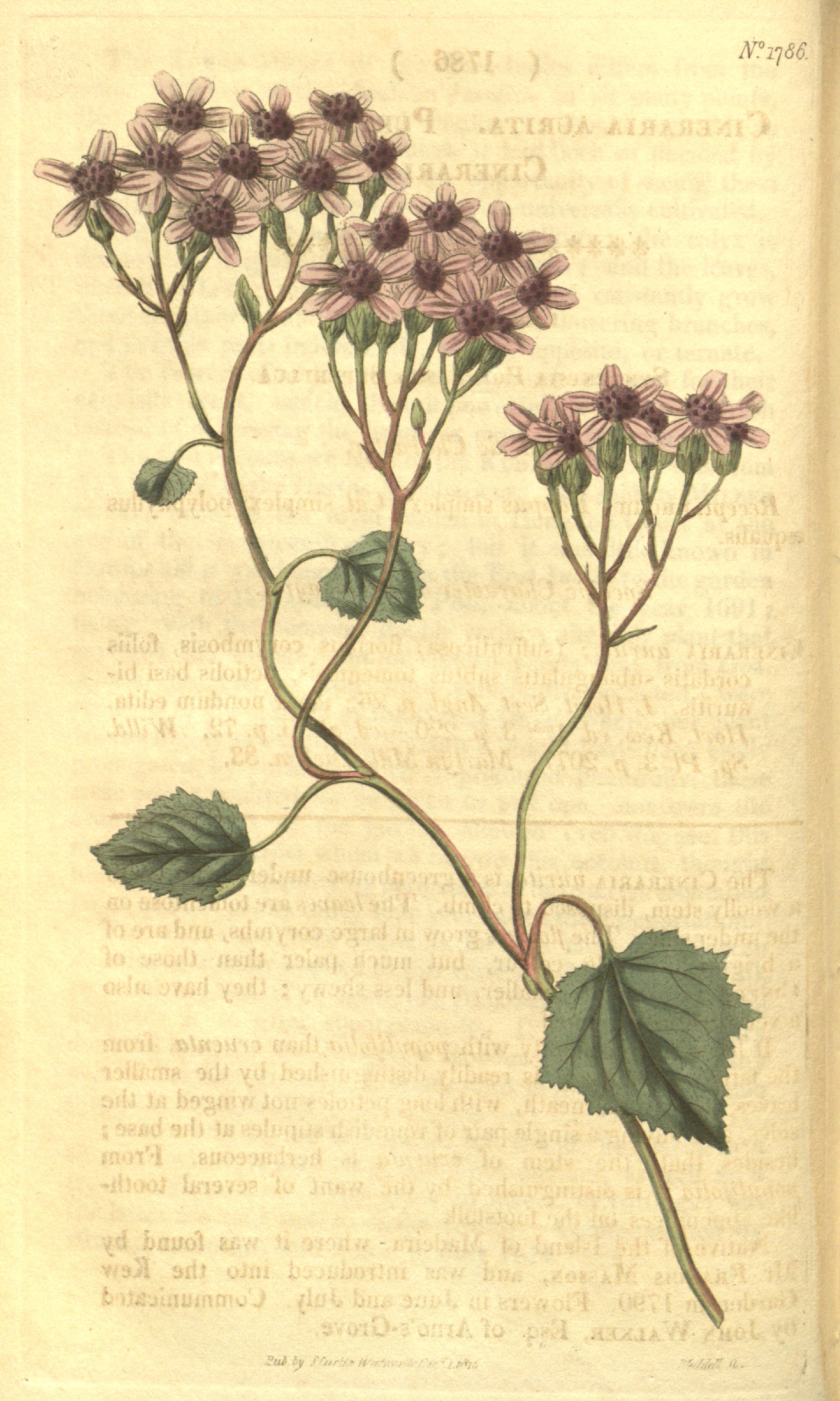 no full size  illustration available (3a)