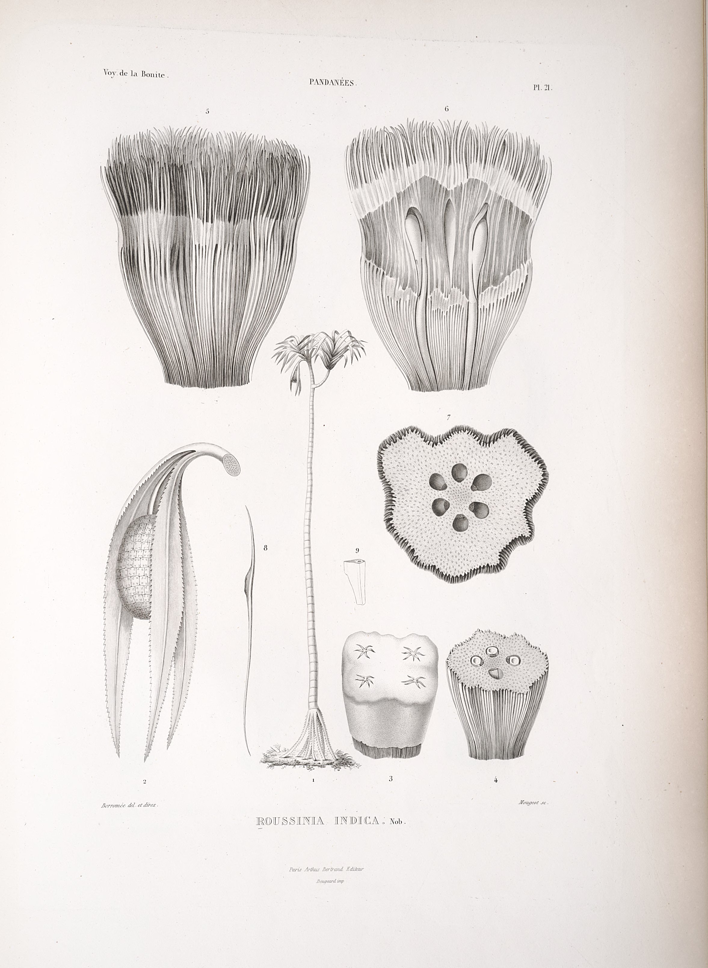 no full size  illustration available (3a)